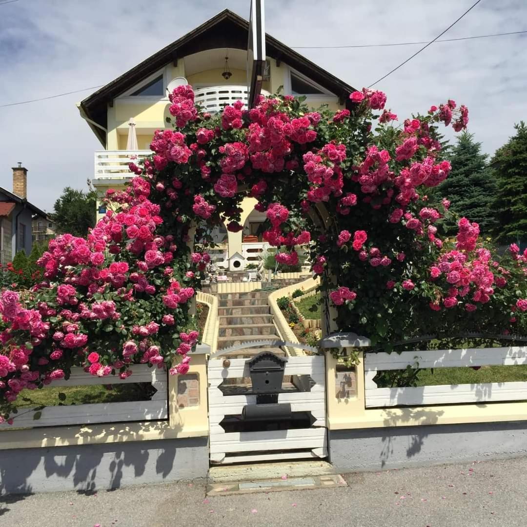 Photo 45