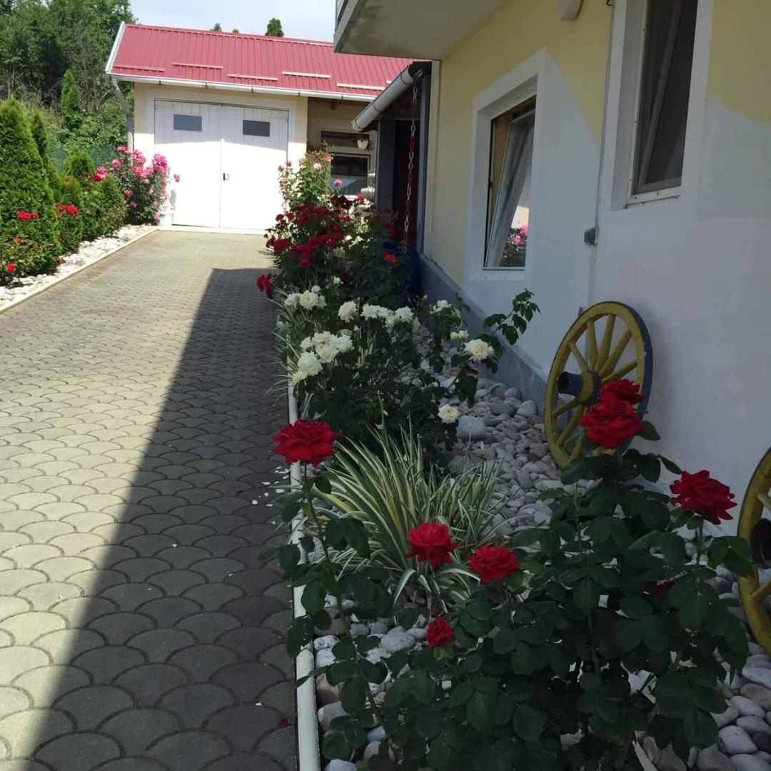 Photo 46