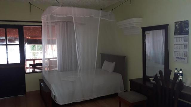 Photo 44