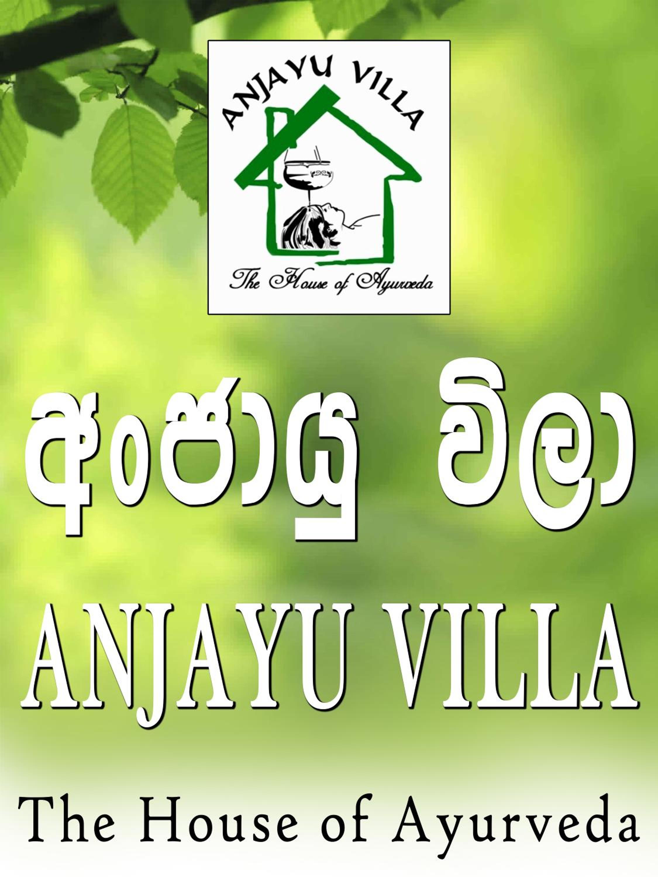 Anjayu Villa - Ayurveda Beach Resort view 2