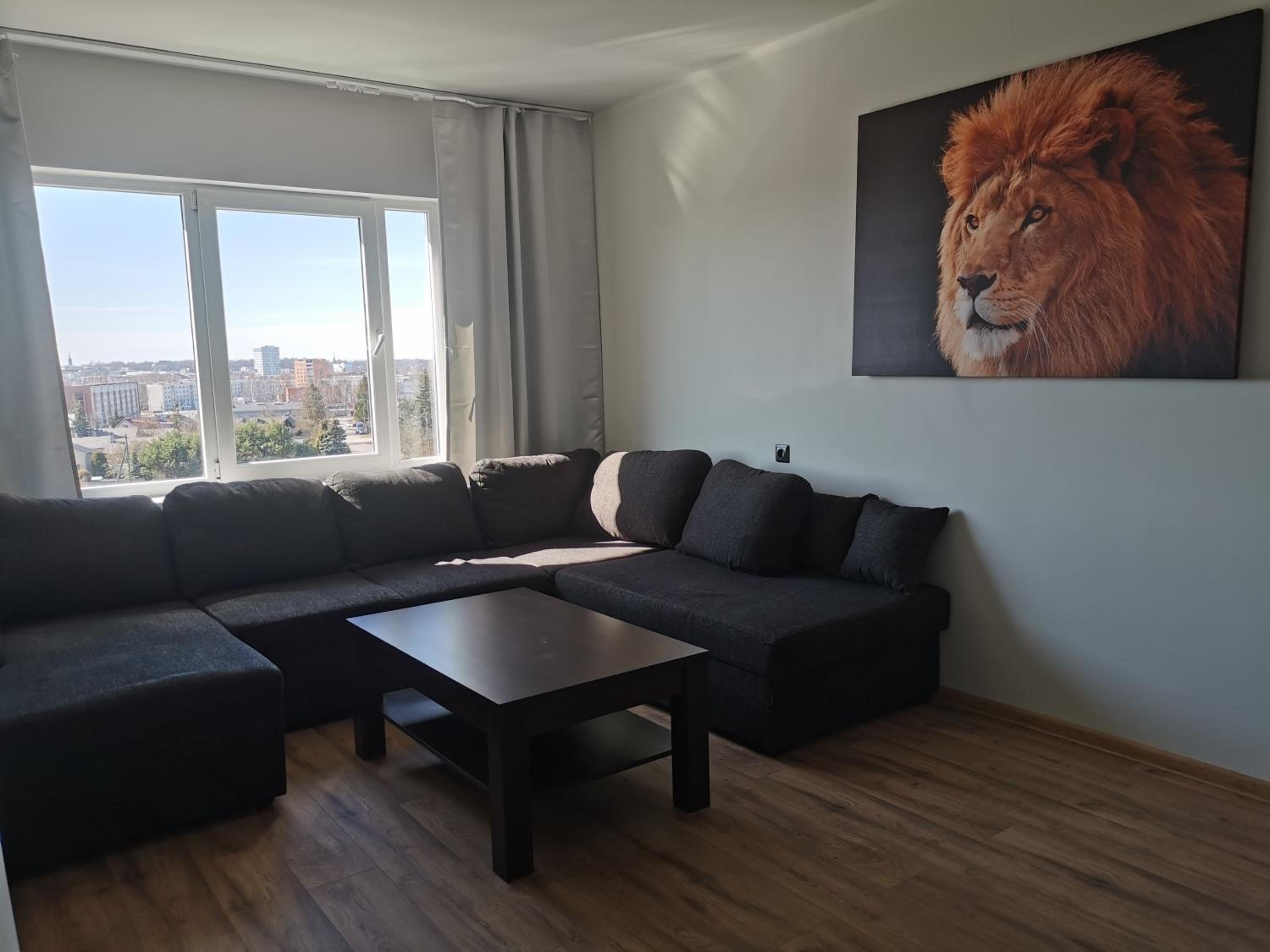 Lion Stay