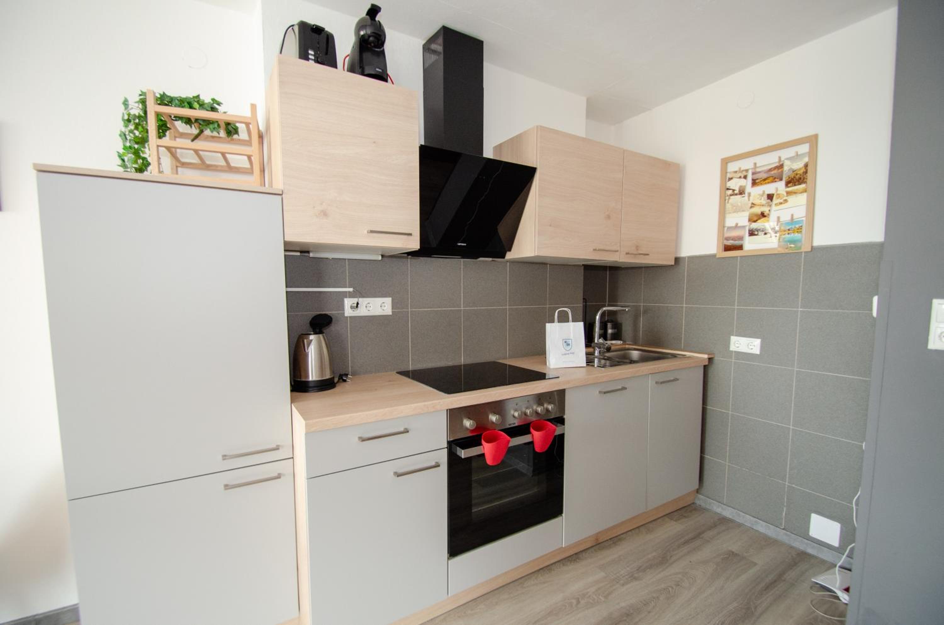 Apartment Dreamski Zell am See town, near lake