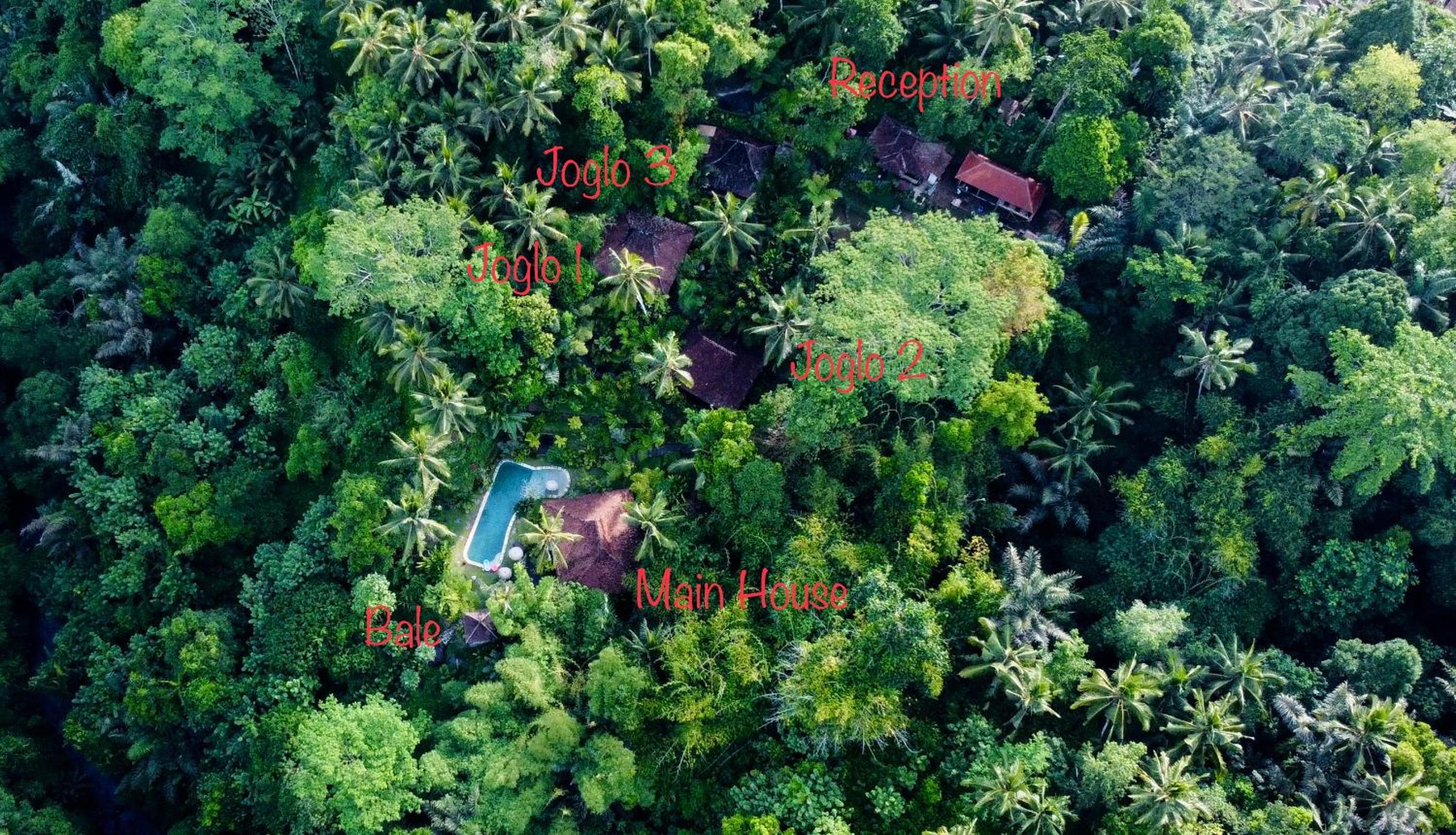 Villa Mahadevi 1 Open-Air Jungle Joglo Near Ubud view 2