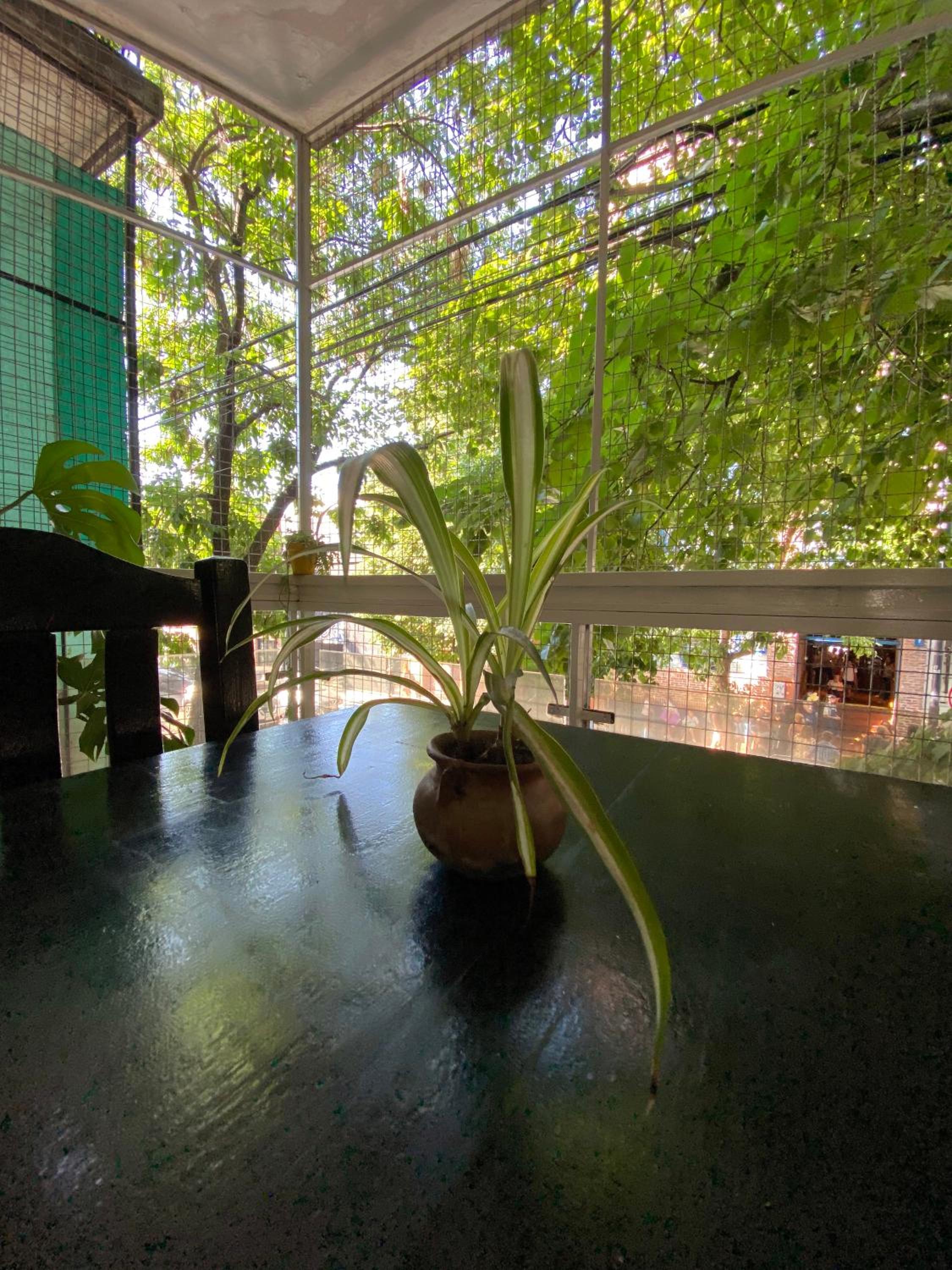 Palermo Soho Hostel