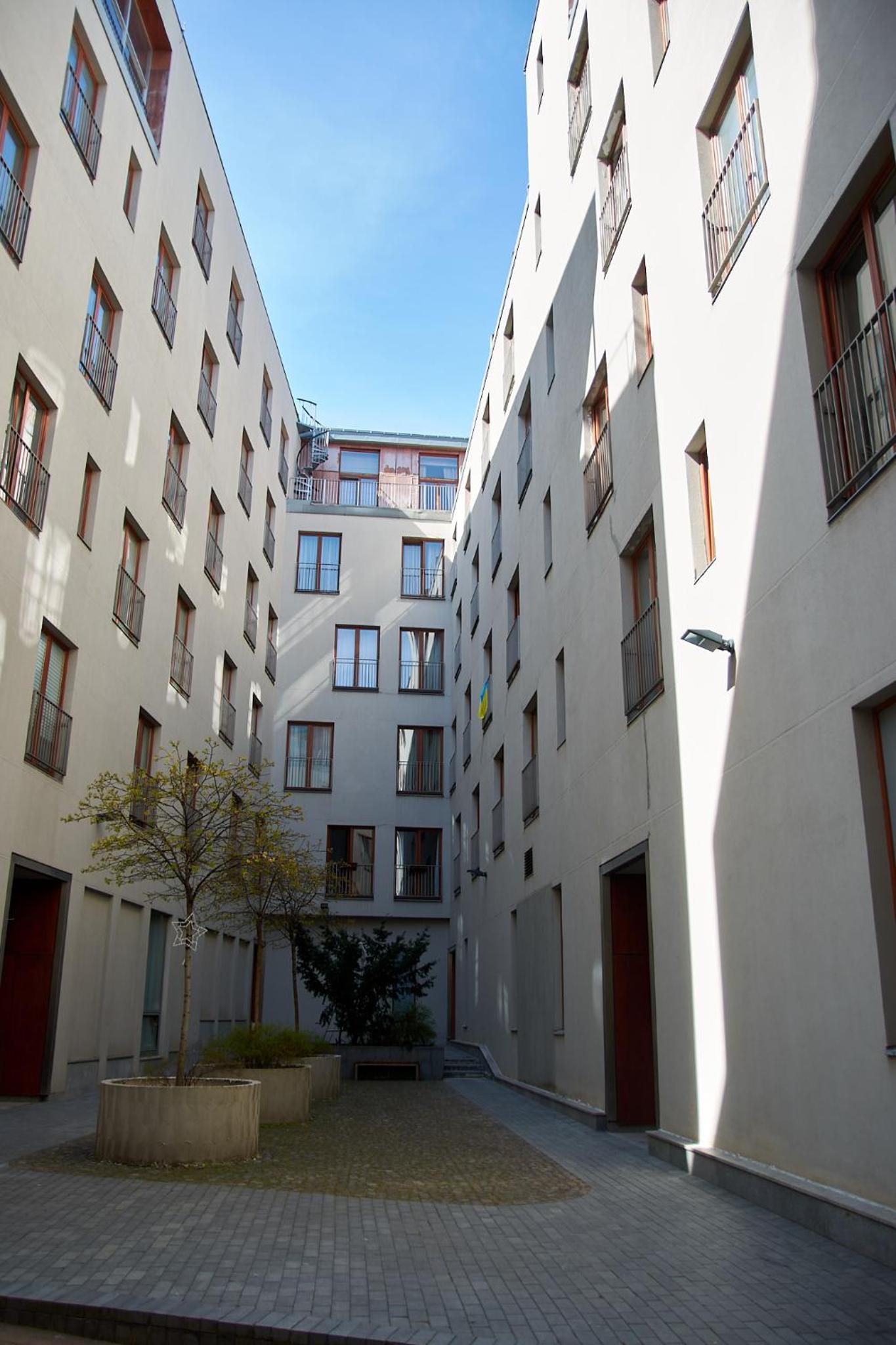 Photo 7