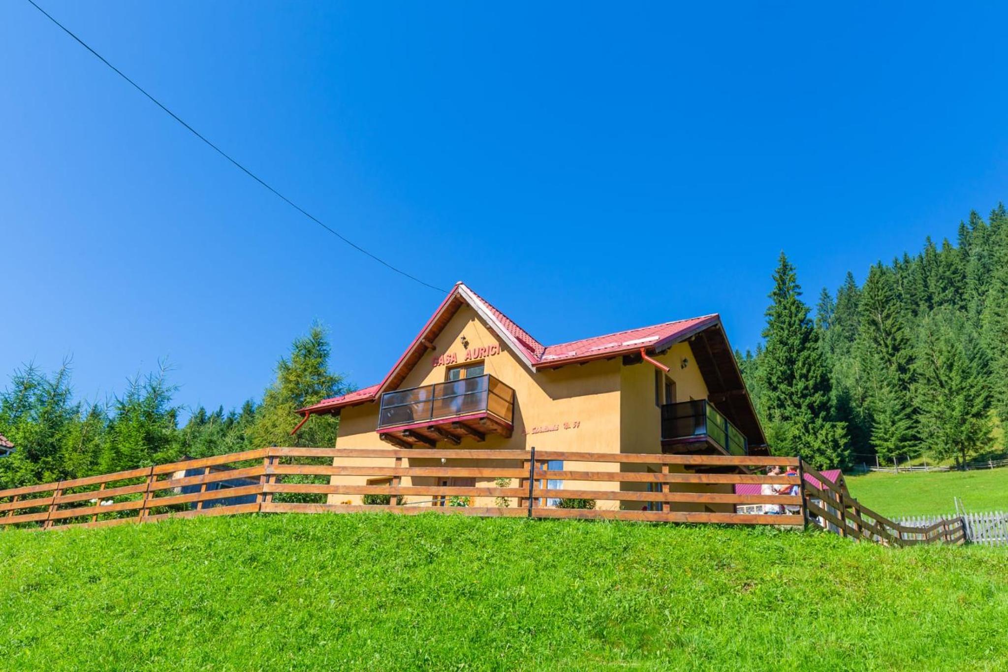 Casa Aurici Vatra Dornei view 2