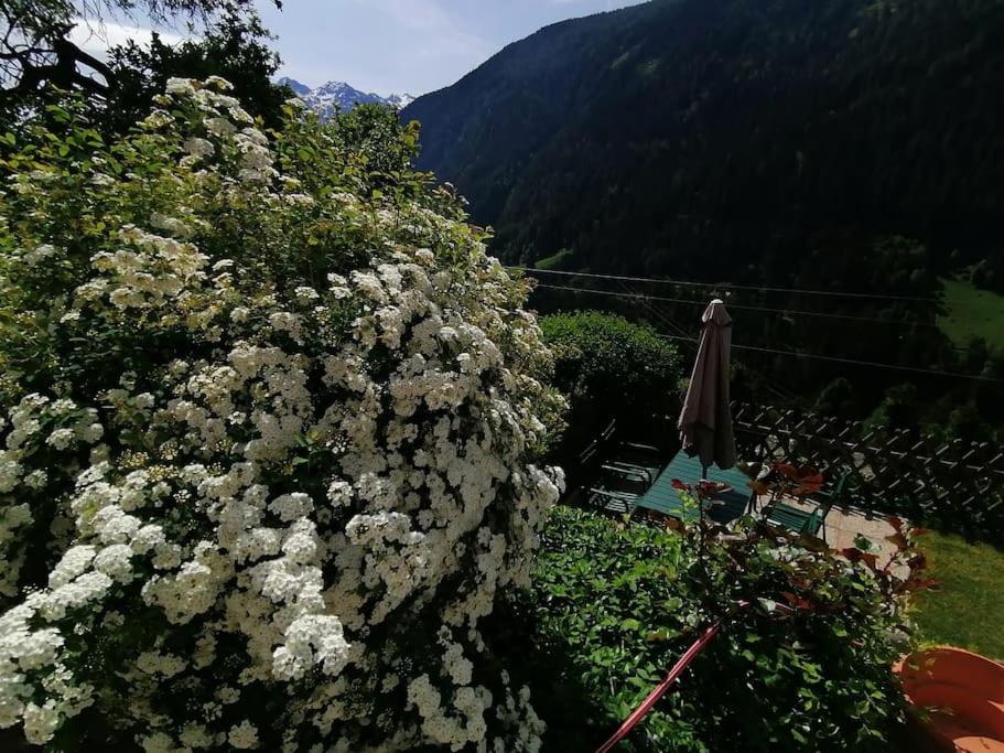Chalet Sternberg