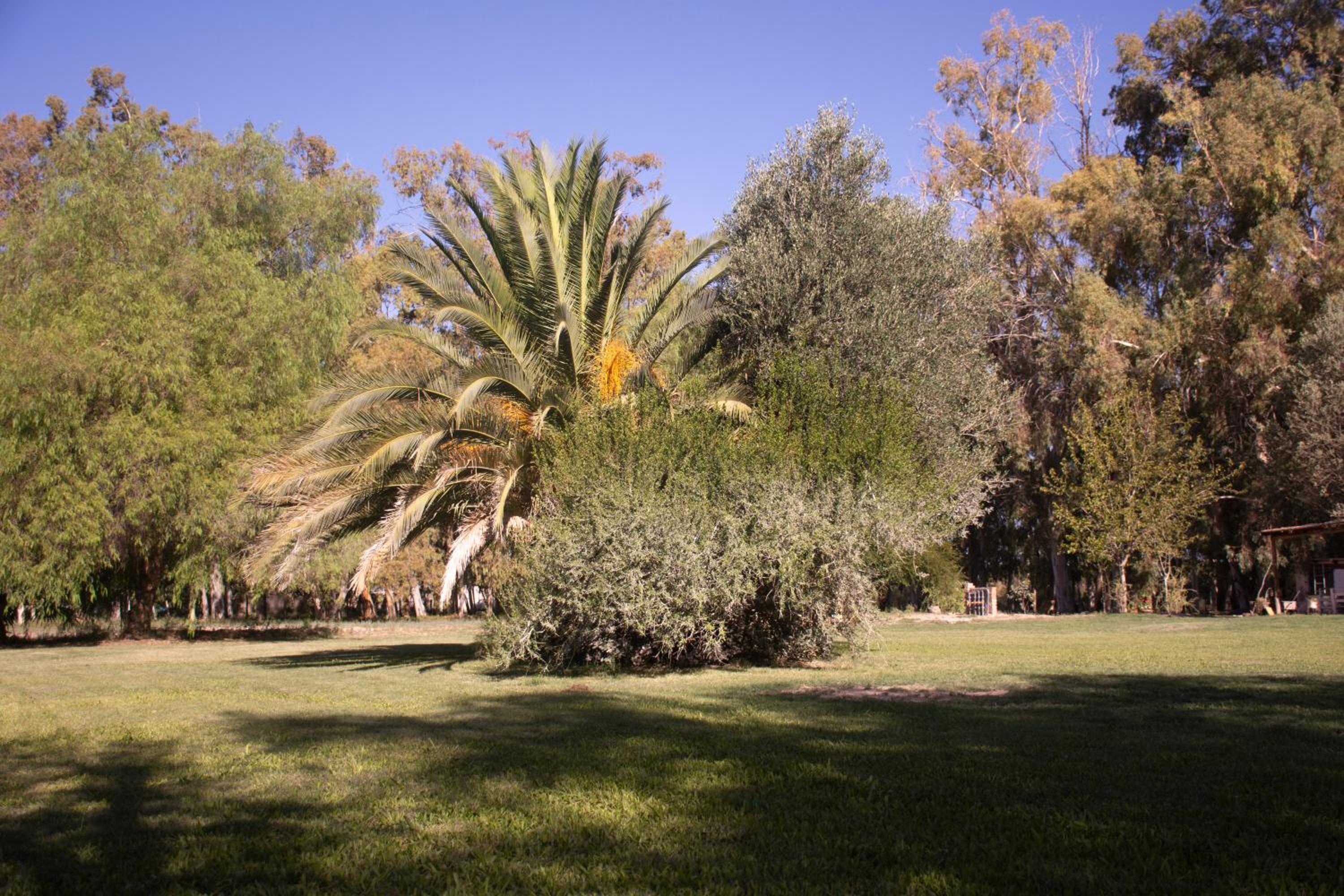 La Finca de Buen Orden
