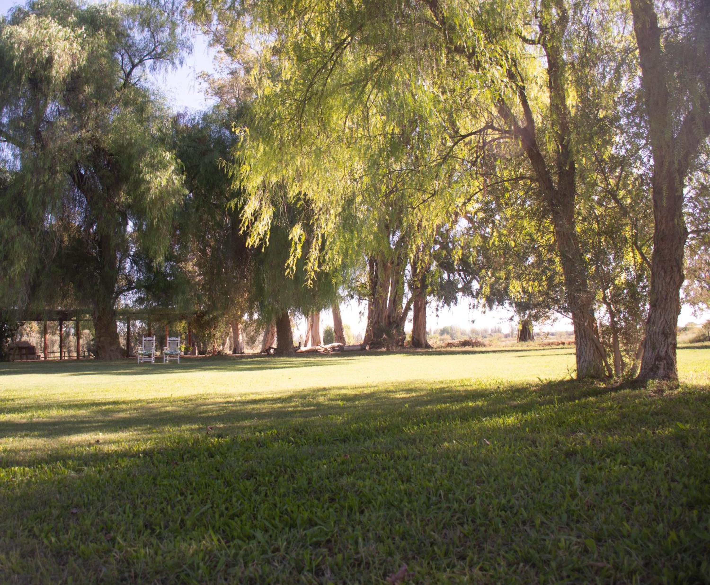 La Finca de Buen Orden