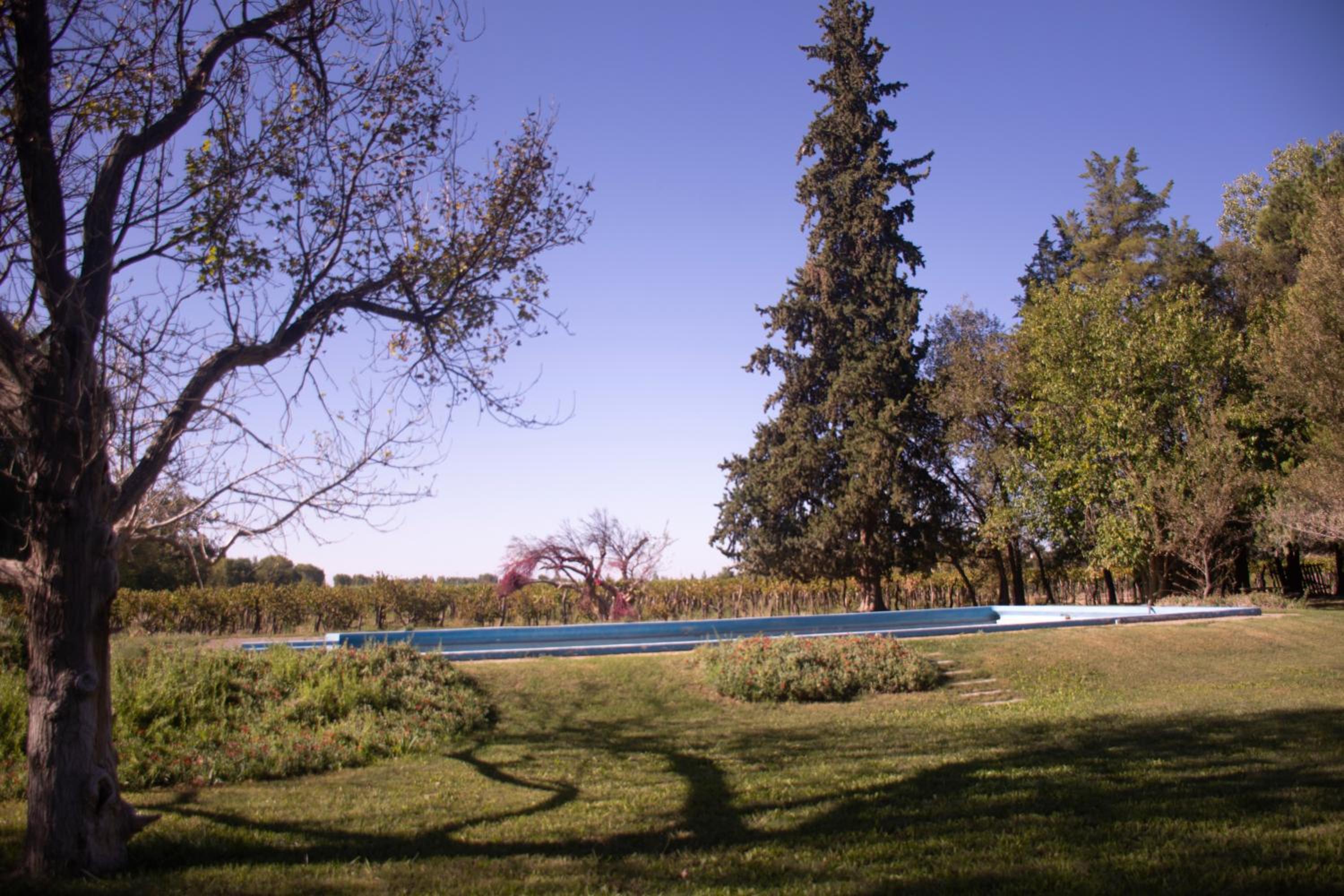La Finca de Buen Orden