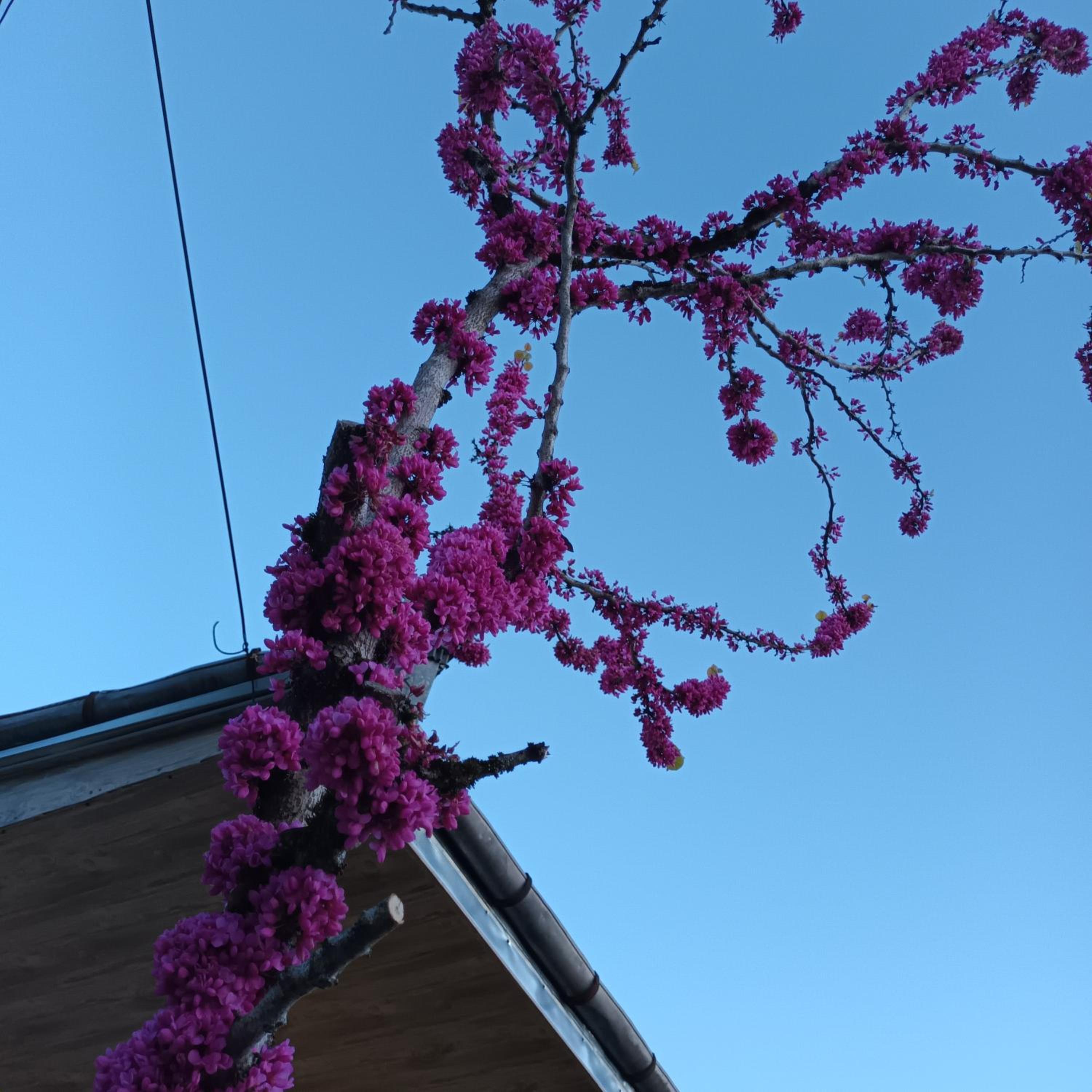 Magdan house, photo 29