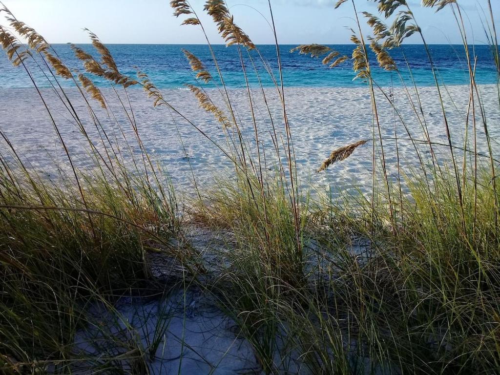 Hotel Private Guest House 2 bedrooms & 2 baths near Grace Bay Beach & Long Bay Beach. - Image 1