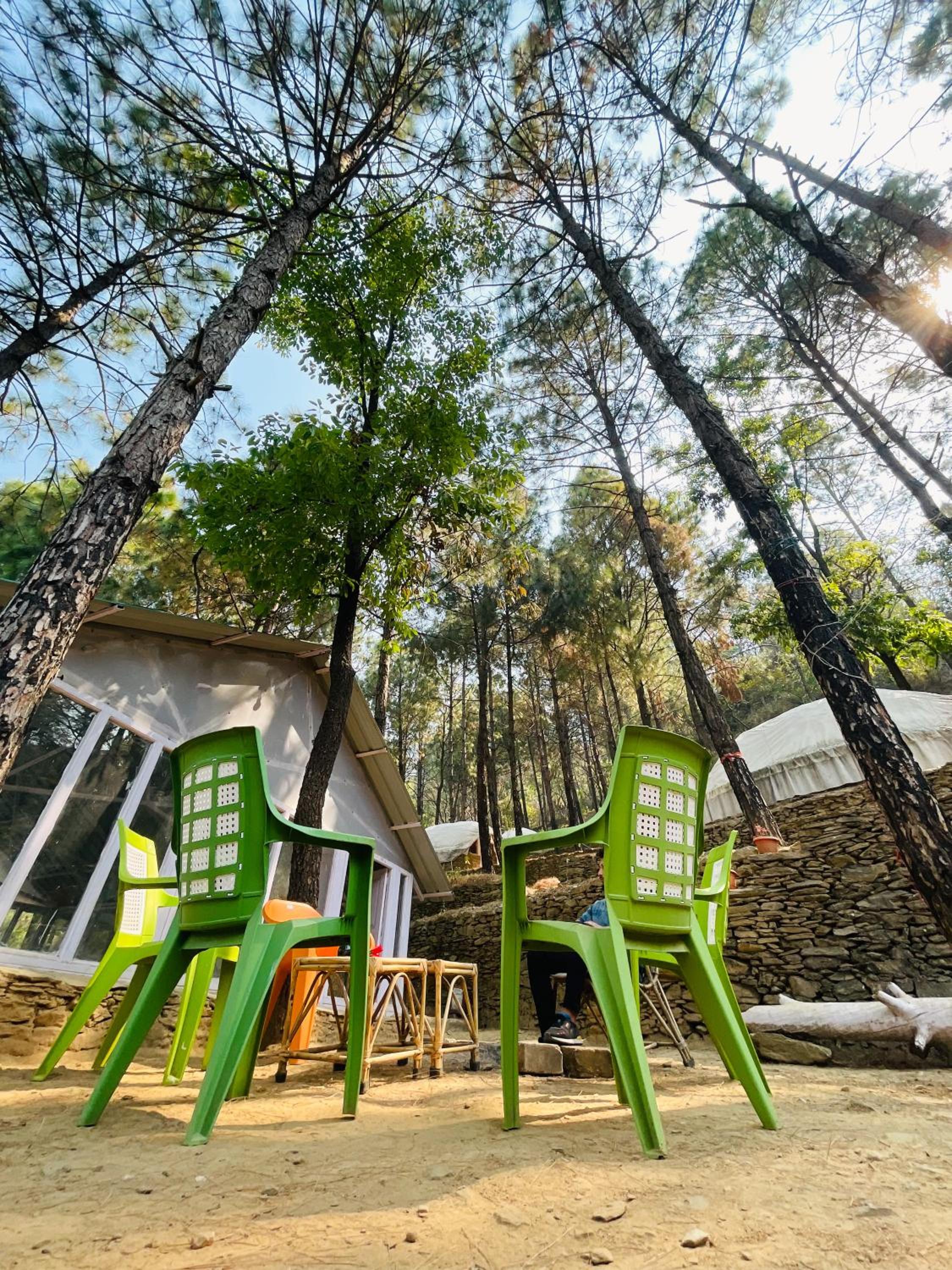 Forest Cabin Bugyal Stays view 5