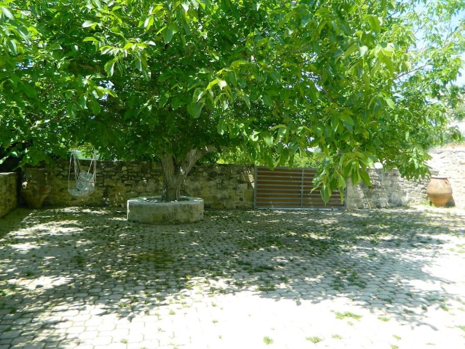 Ancient Retreat with 2-Storey Tower Gym Garden view 5
