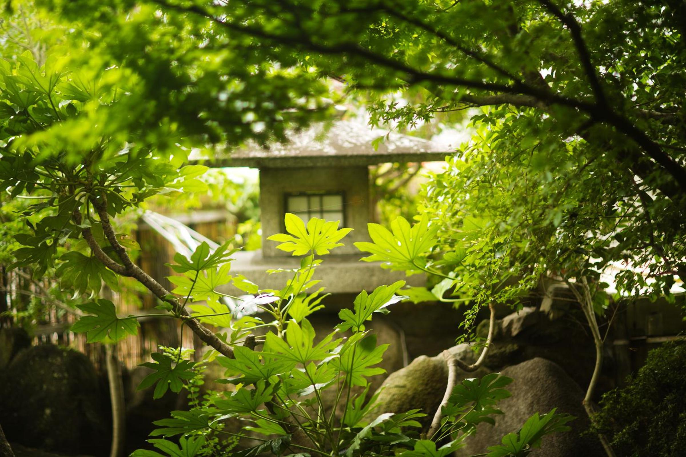 Tokiwa