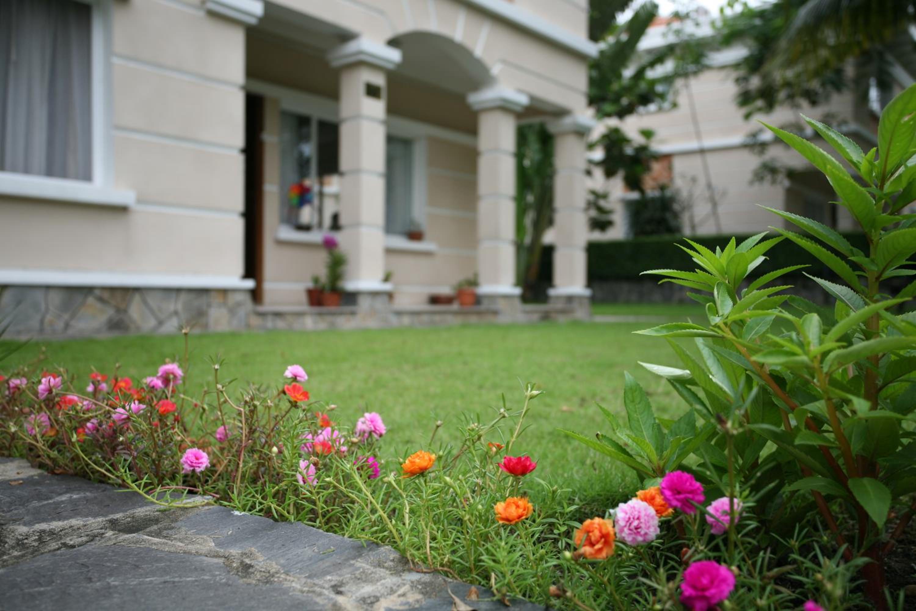 Vietnam Golf - Lake View Villas