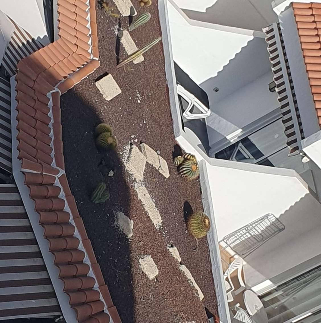 Penthouse ar okeana skatu