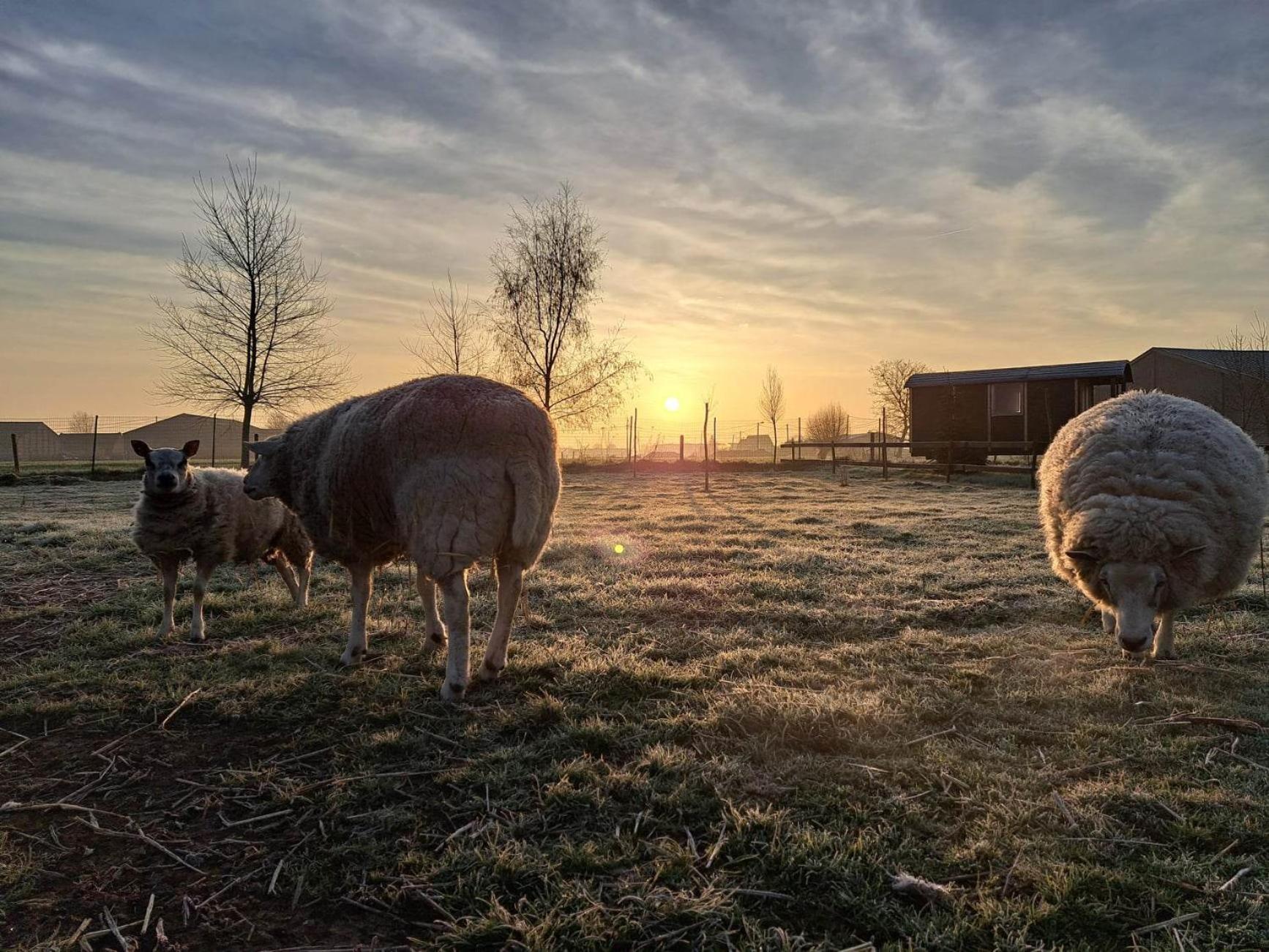 De Skure: vakantiewoning op boerderij