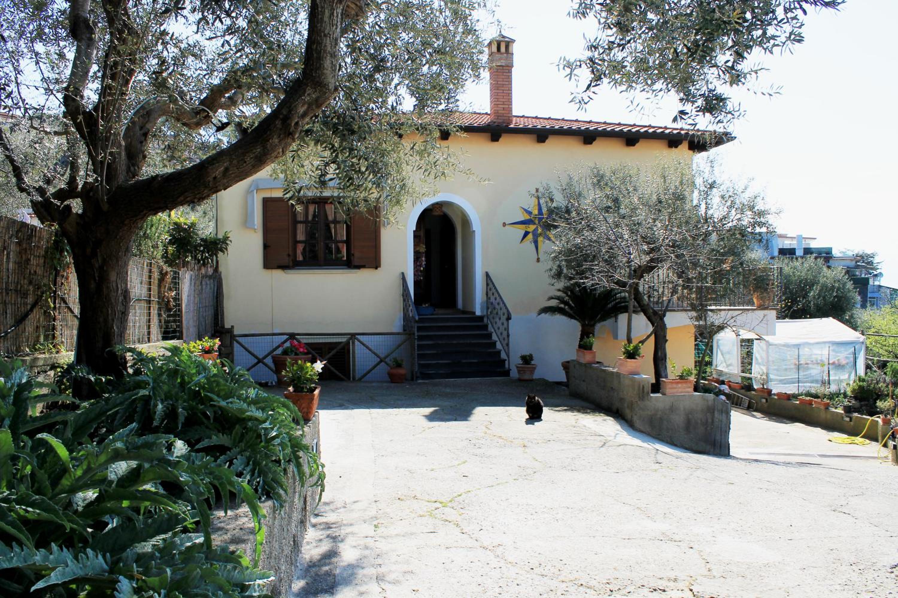 Marysa's house view 2