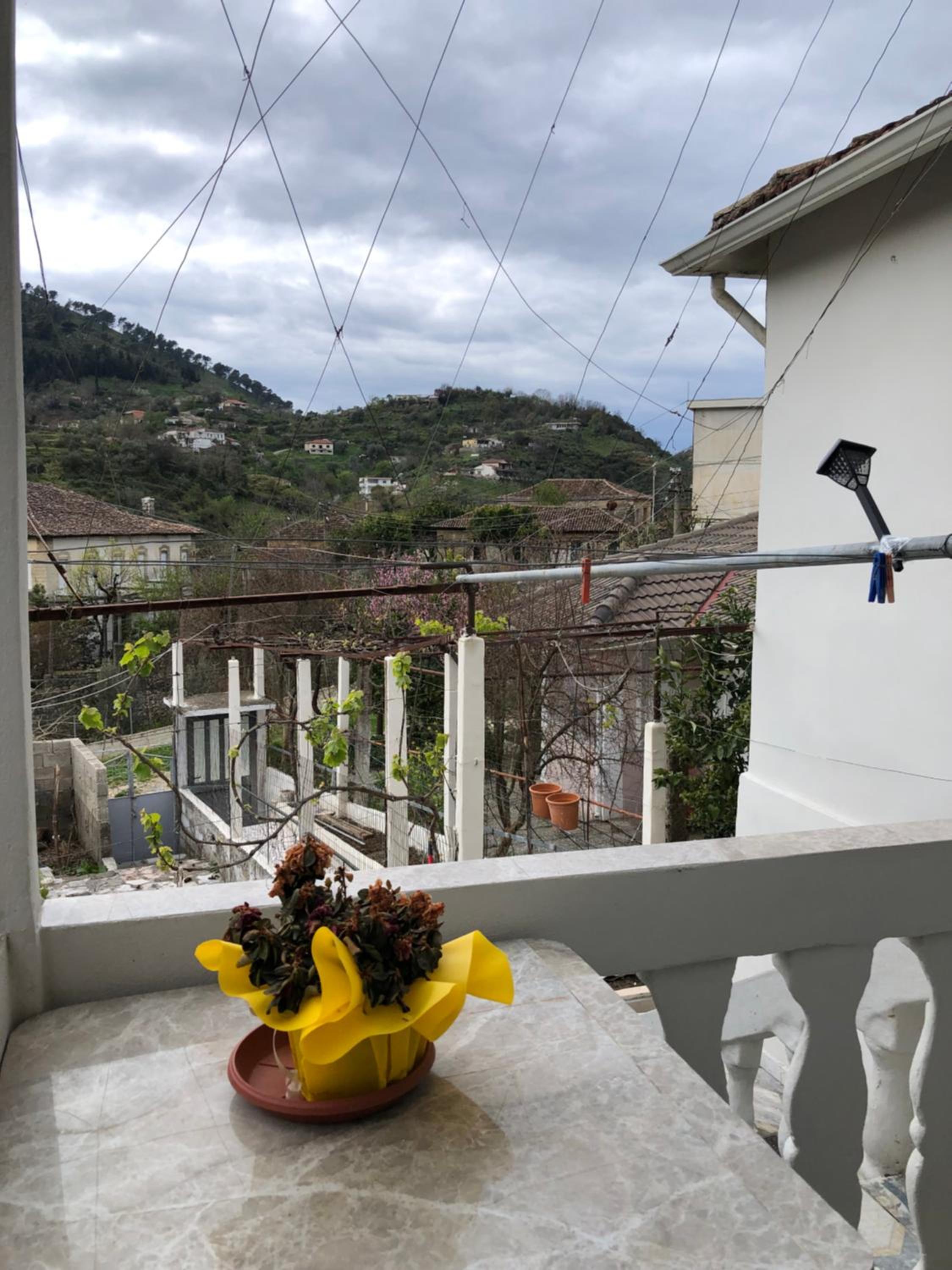 Lili's House