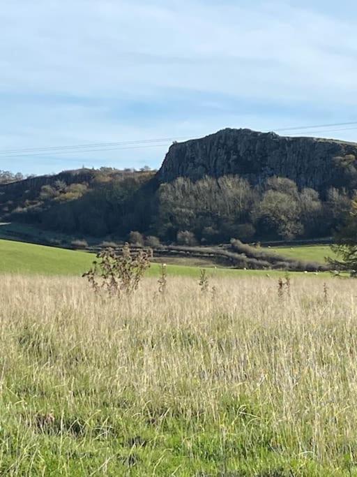 North Farm