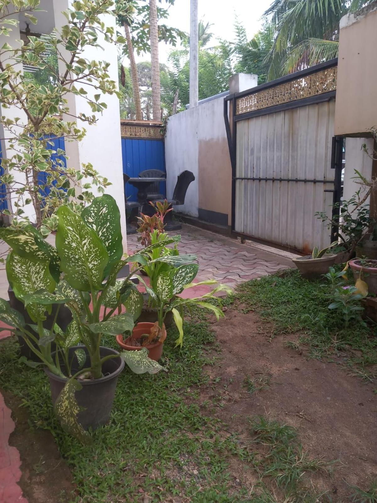 Asanka Beach Stay view 3