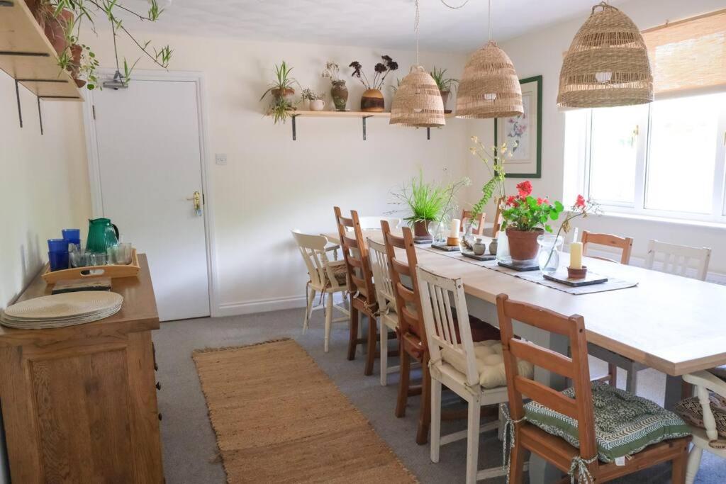 Spacious North Devon villa with beautiful garden view 4