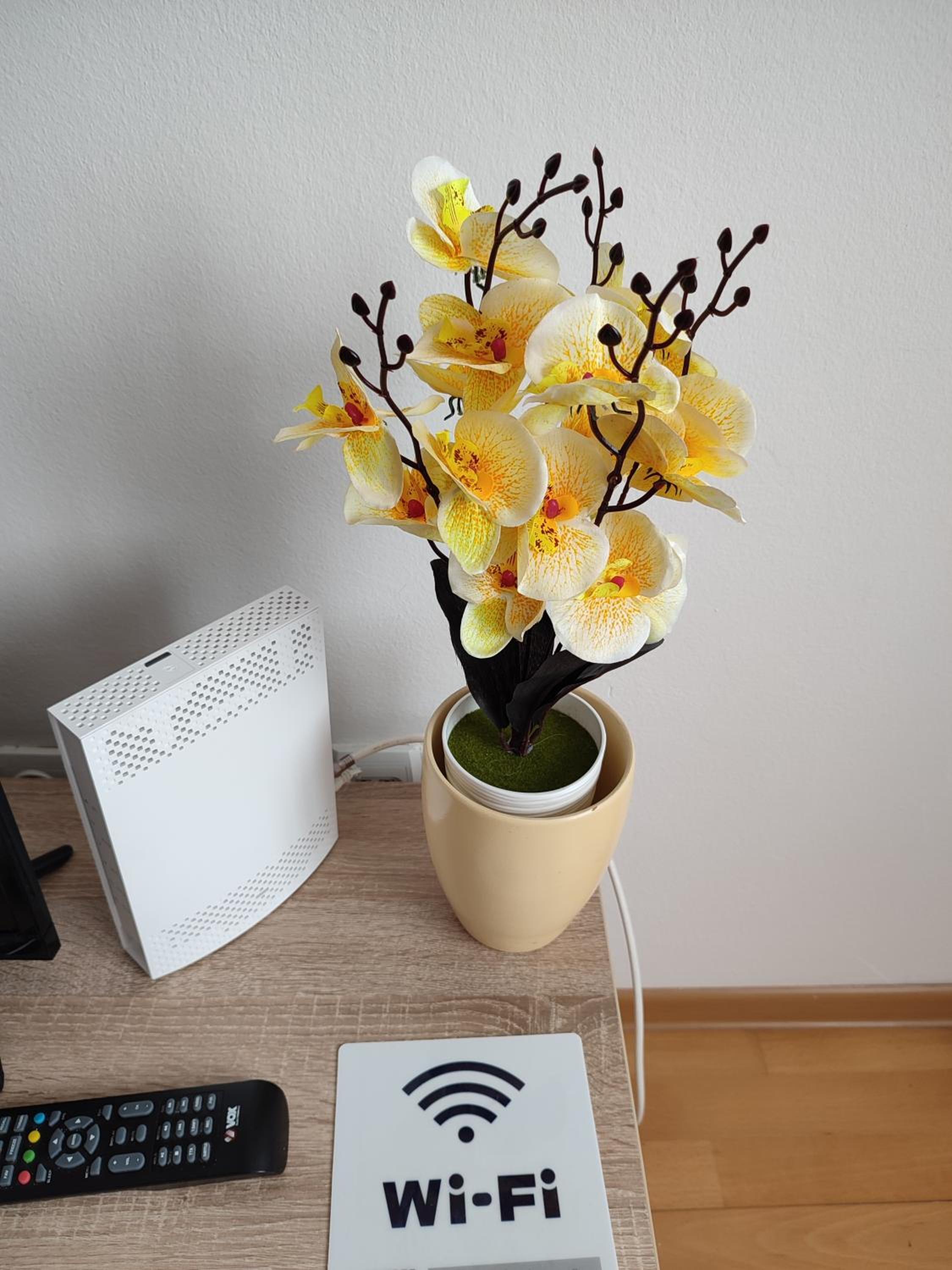 Apartman Tanja