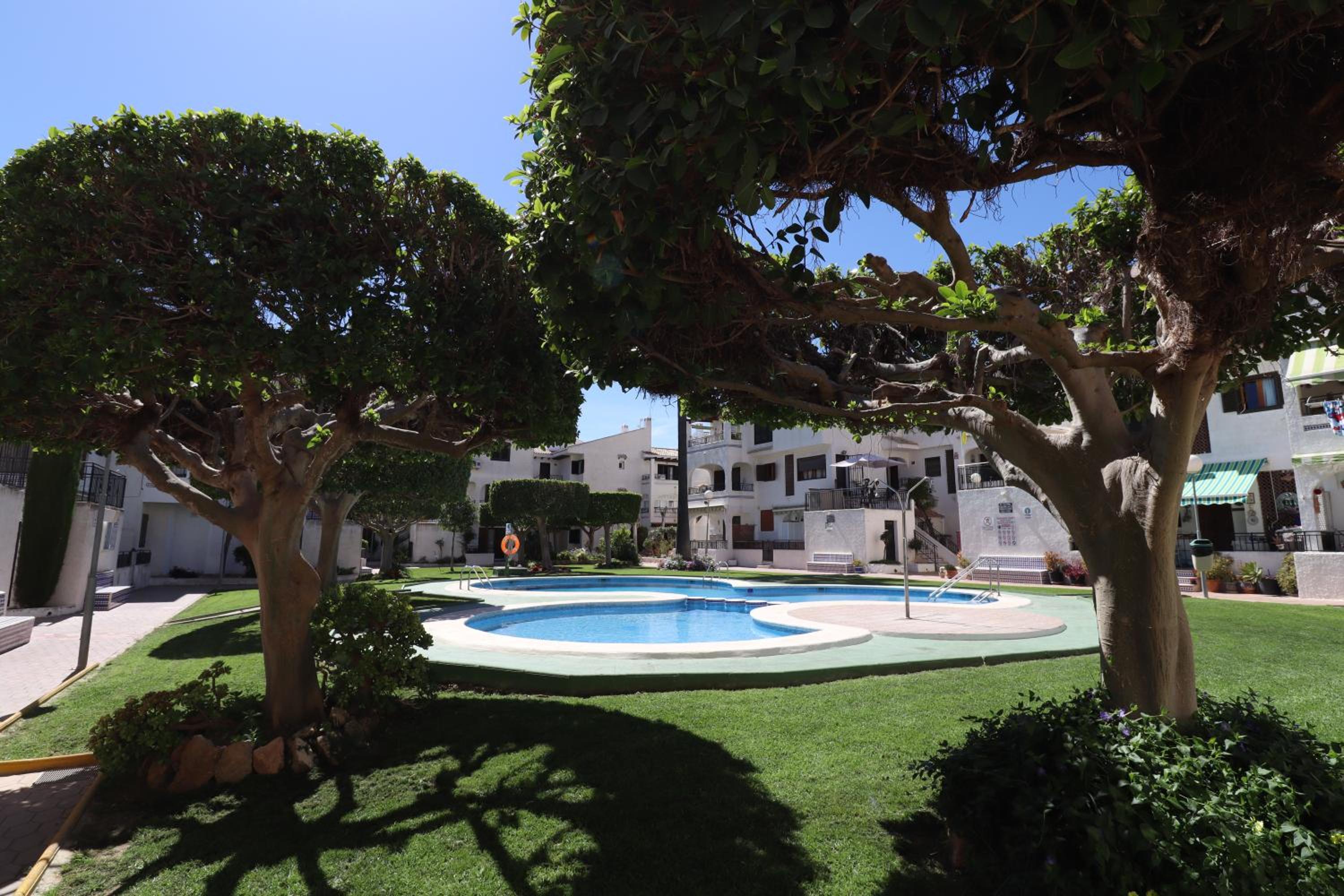 Oleza Sun Playa Flamenca