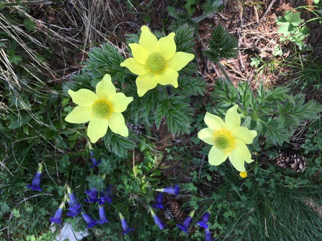 Photo 22