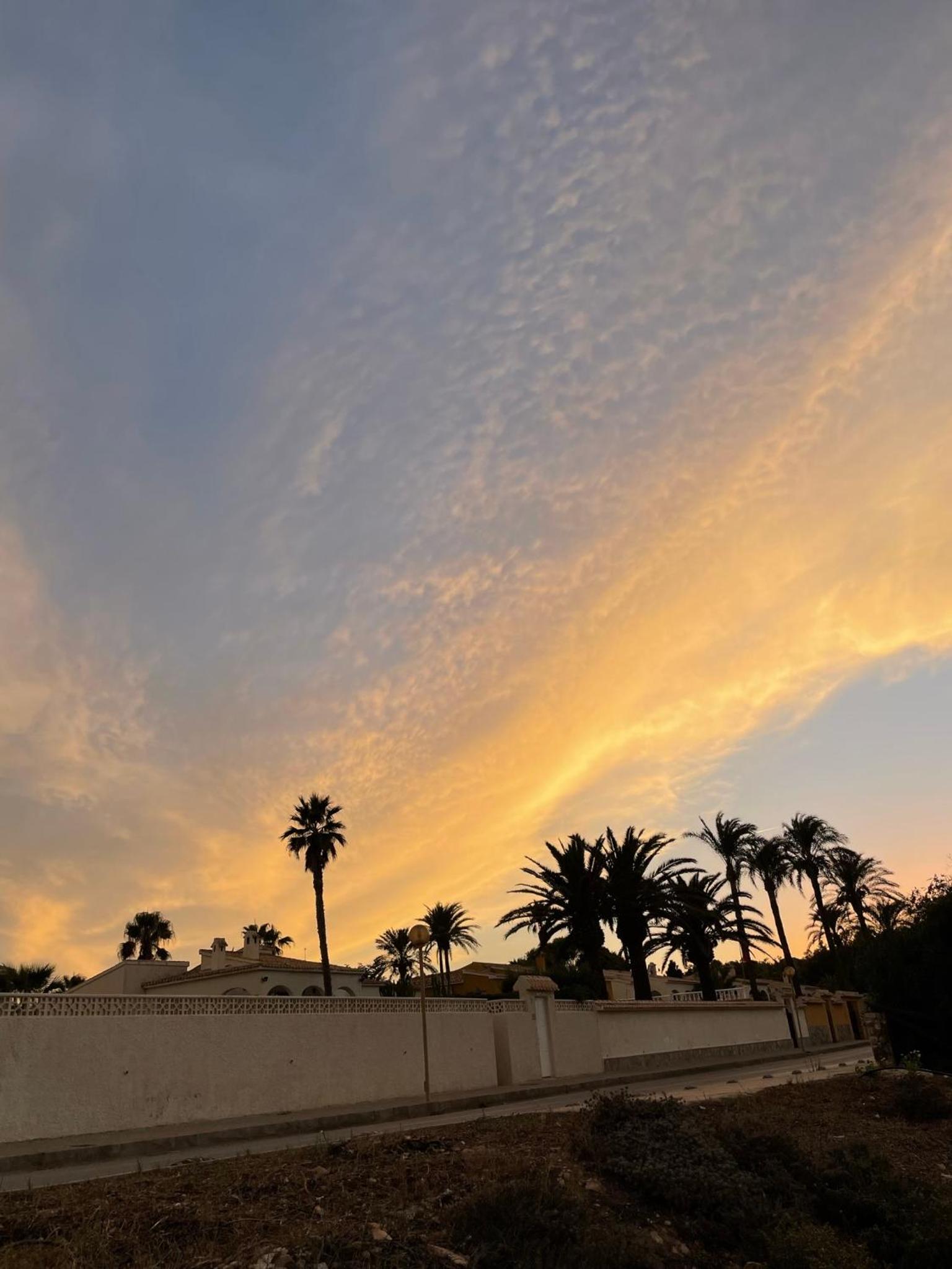 Oleza Sun Playa Flamenca