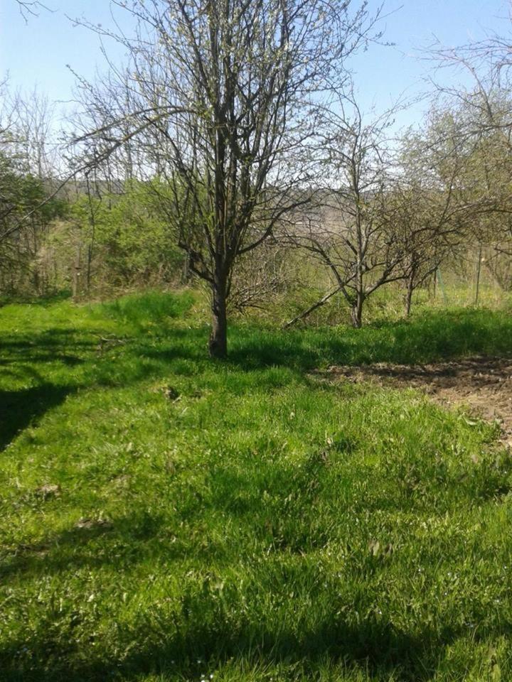 Photo 21