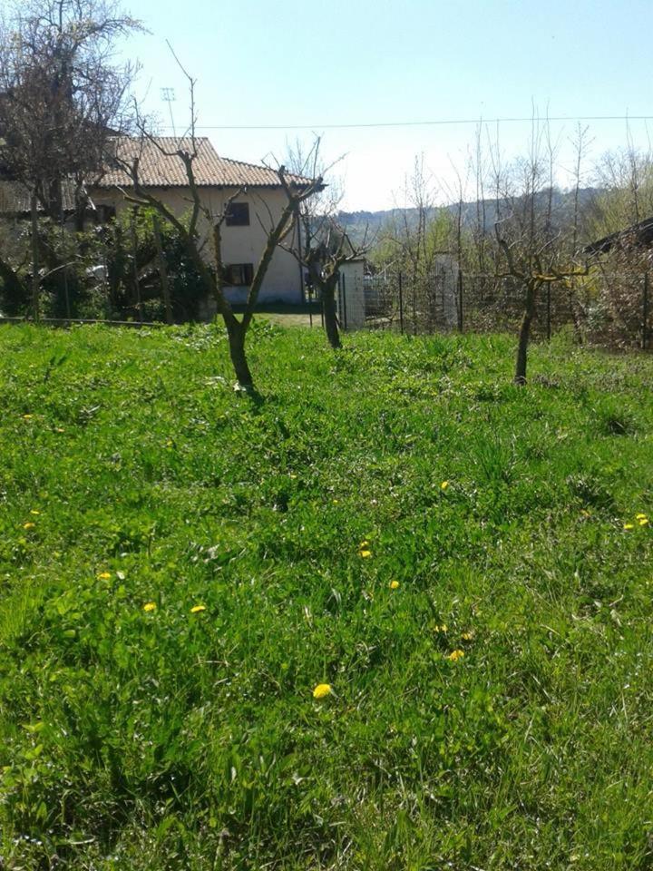 Photo 24