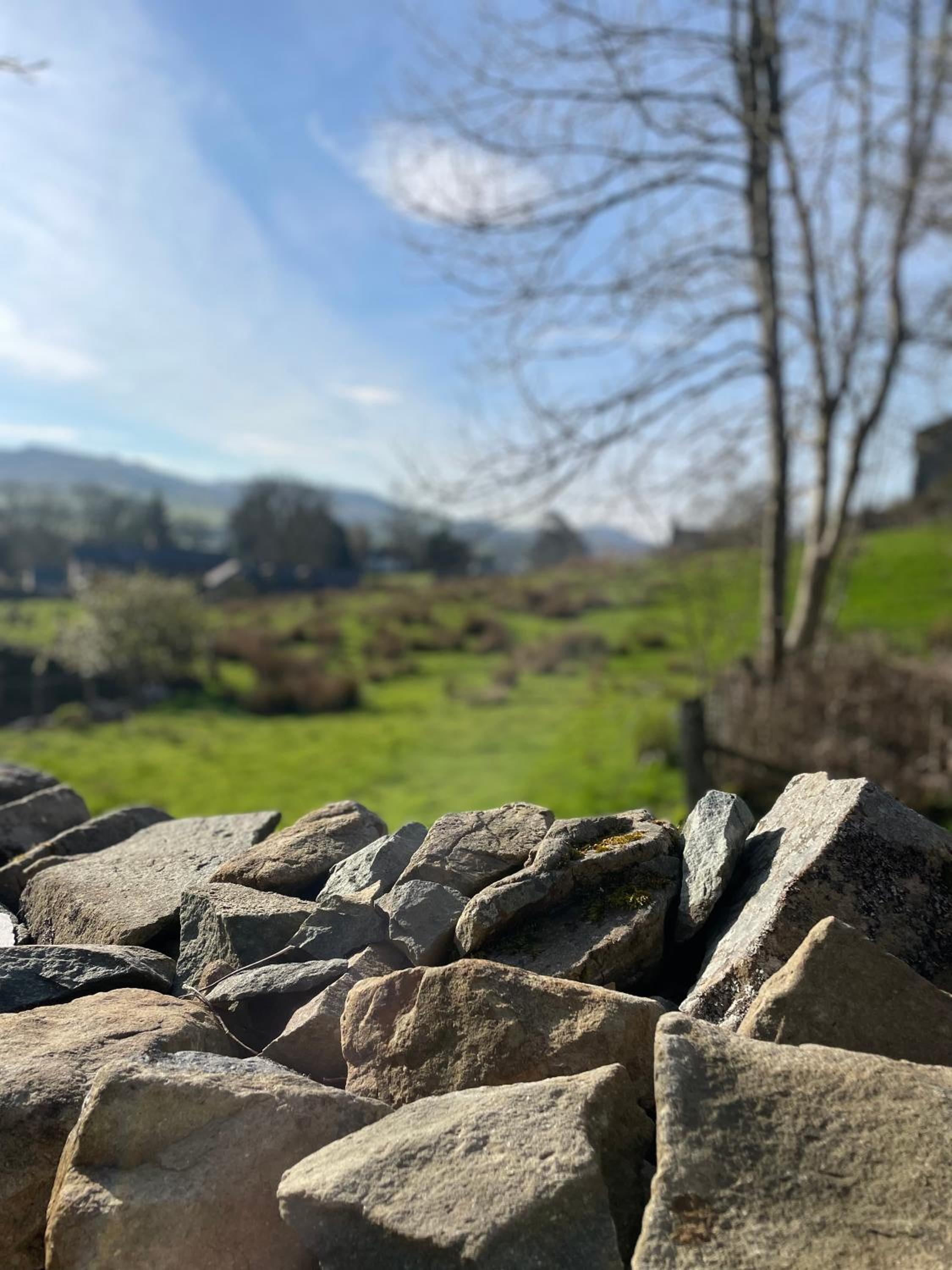 Trawsfynydd Stone Cottage