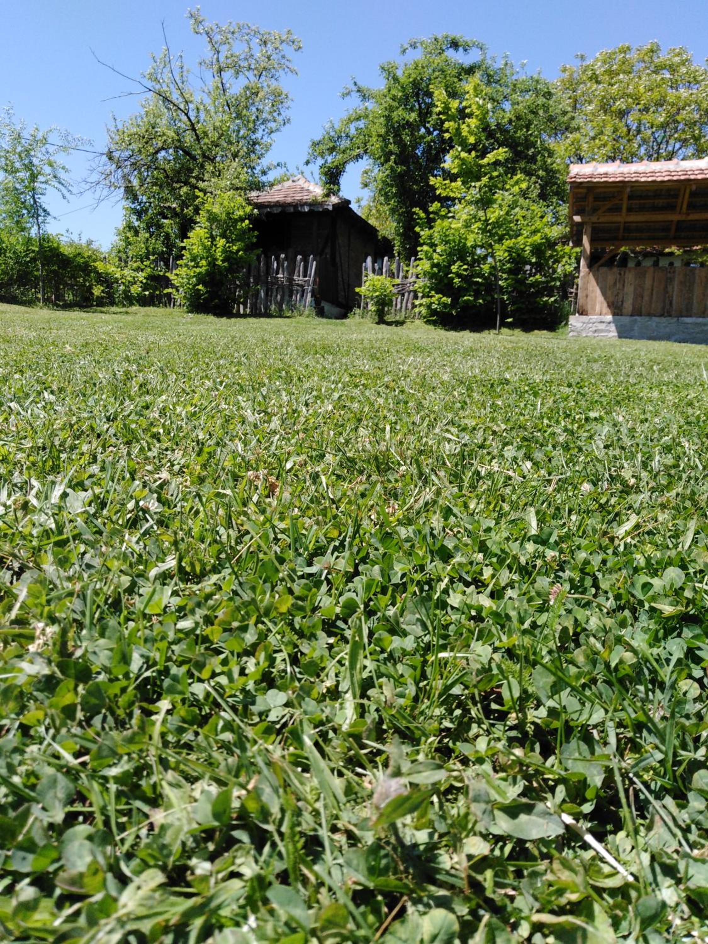 Photo 12