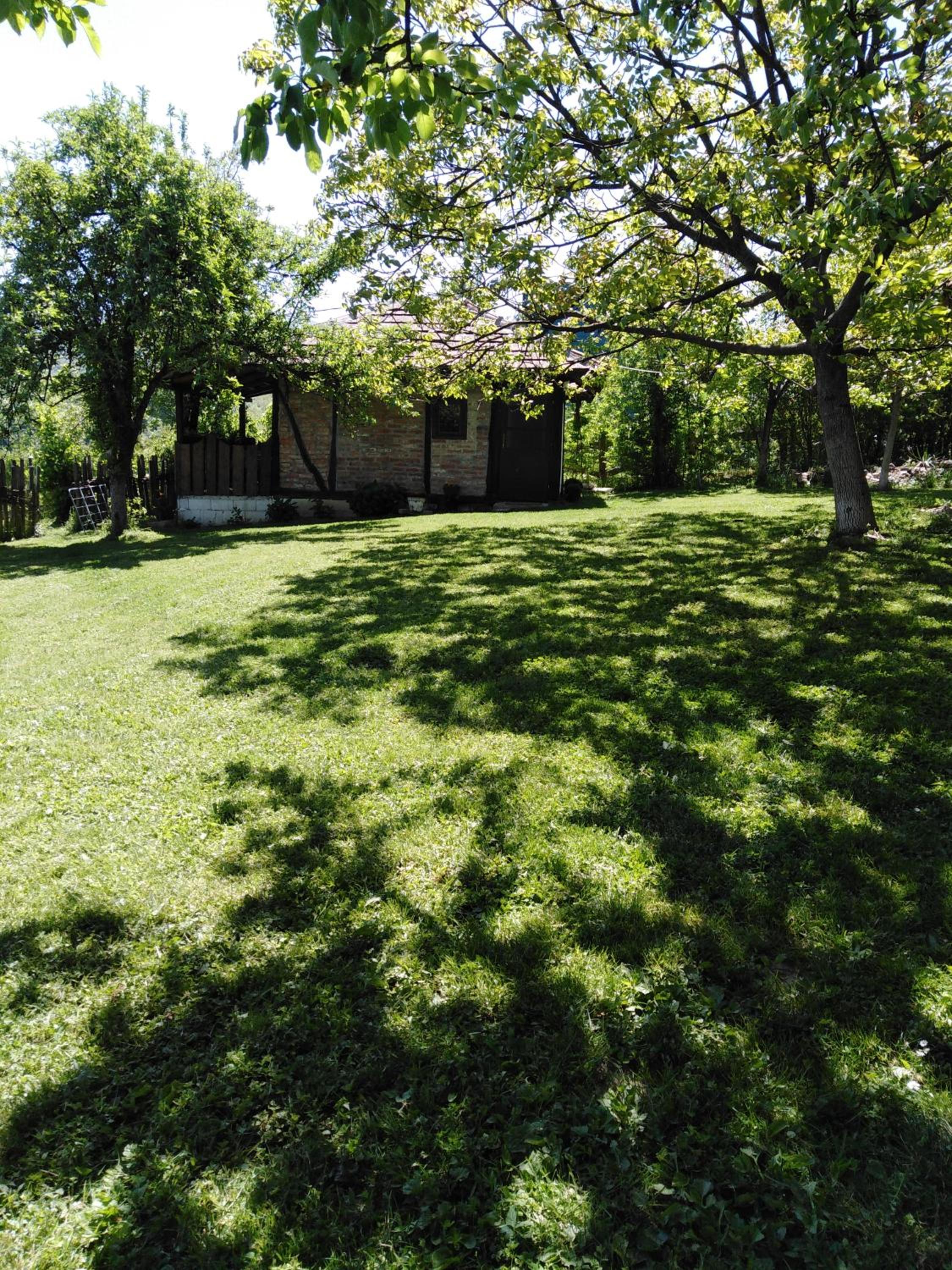 Photo 14