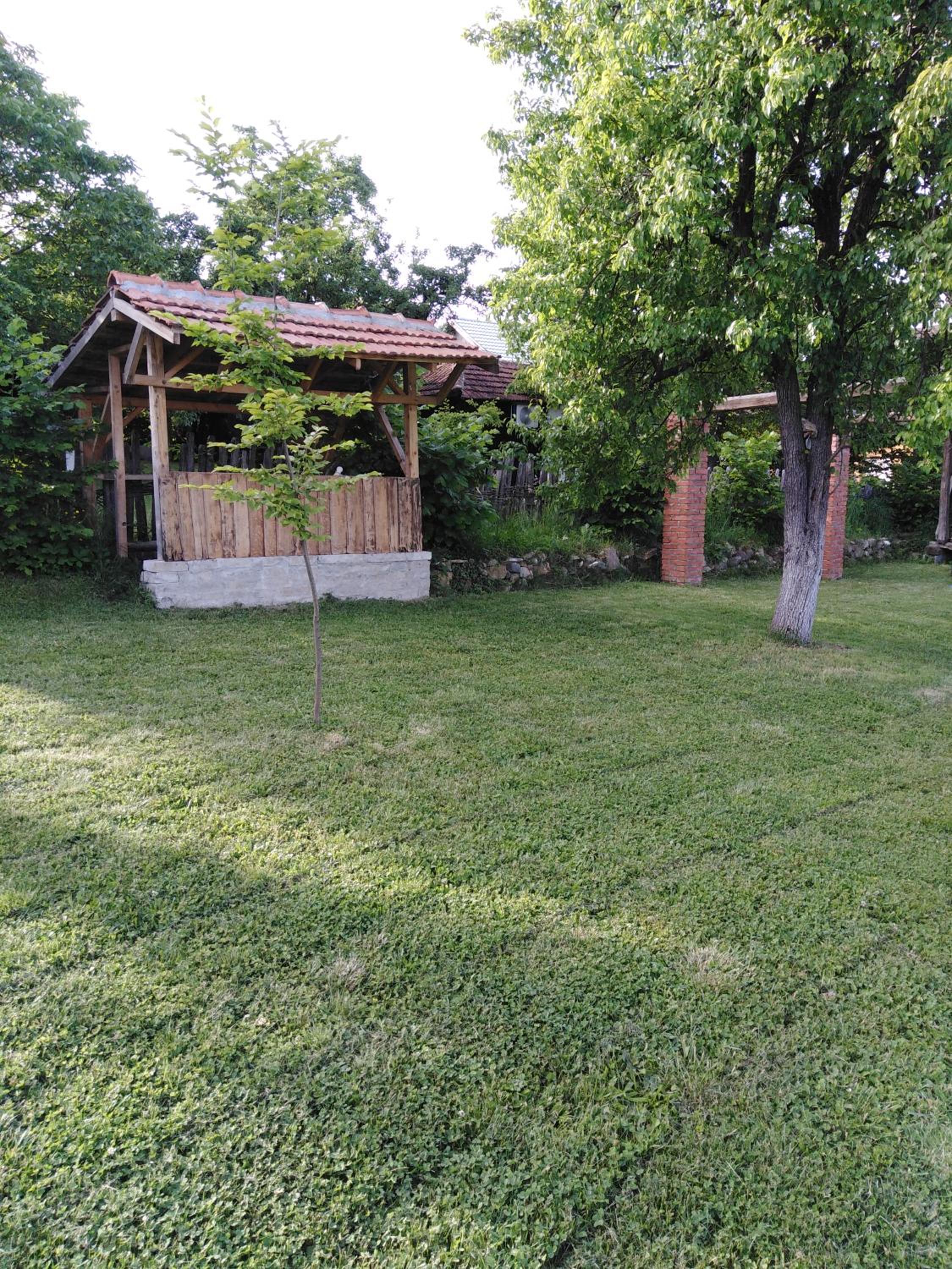 Photo 15