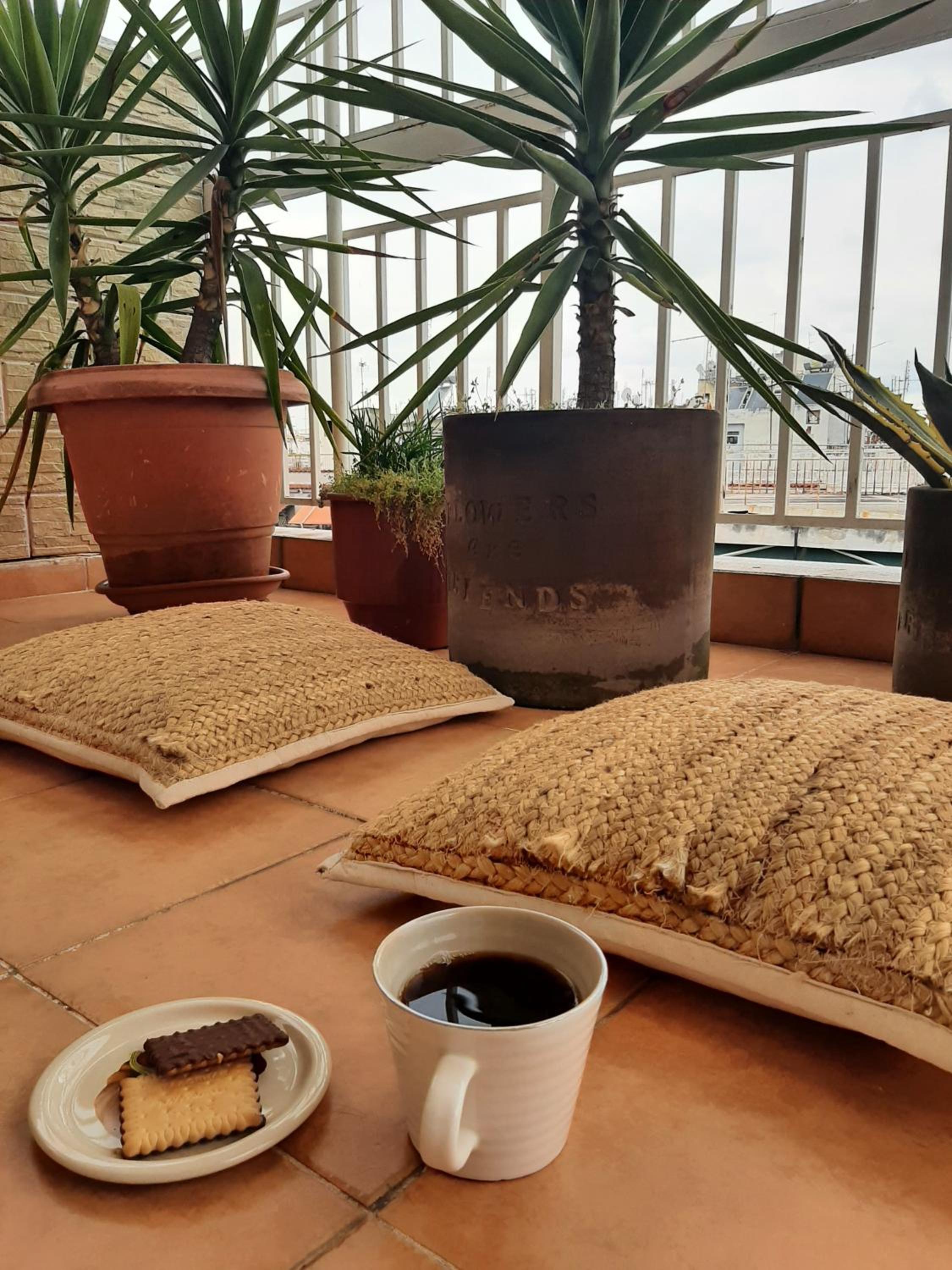 balance & terrace