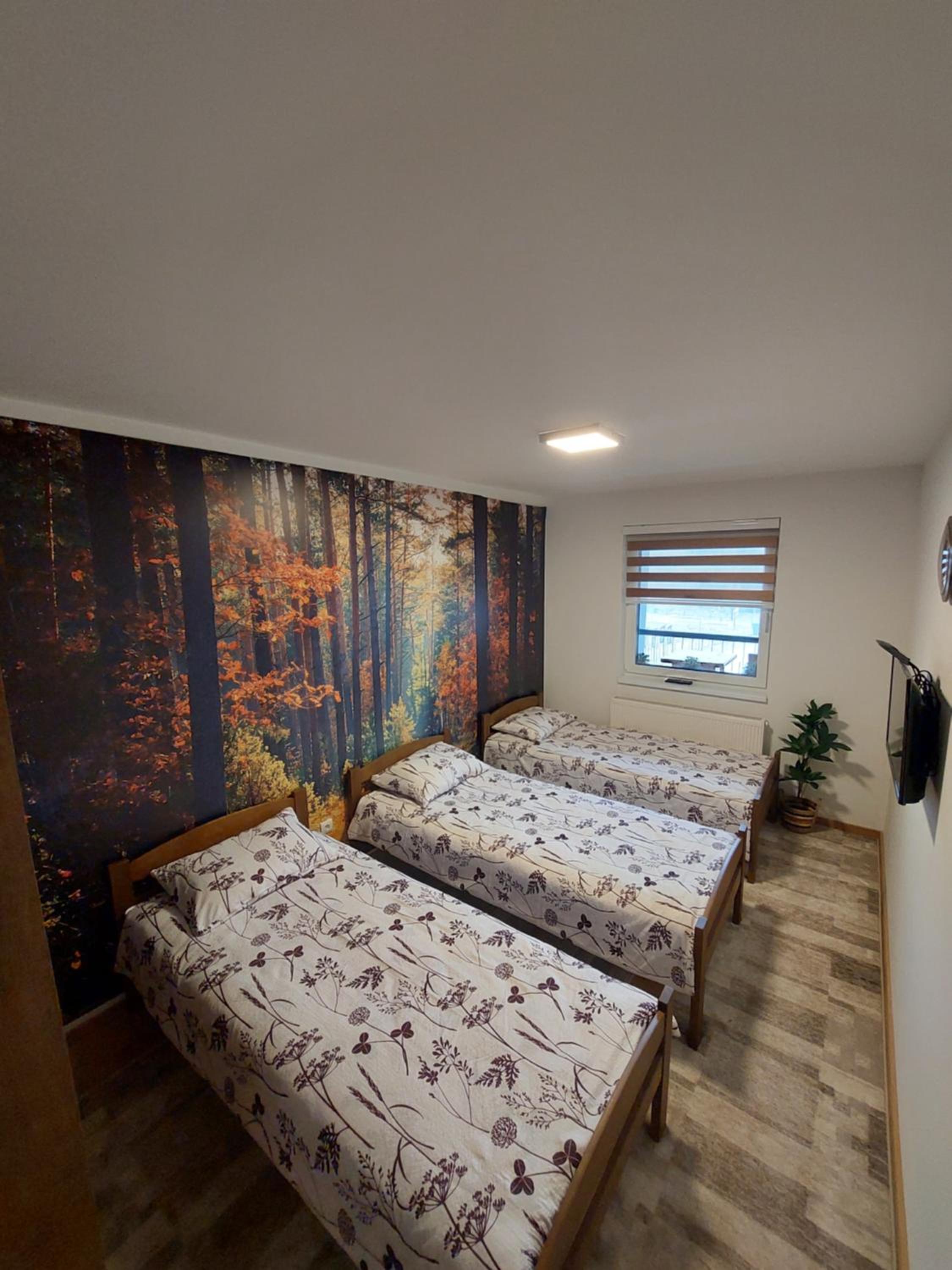 Luxury Apartment Zimska idila