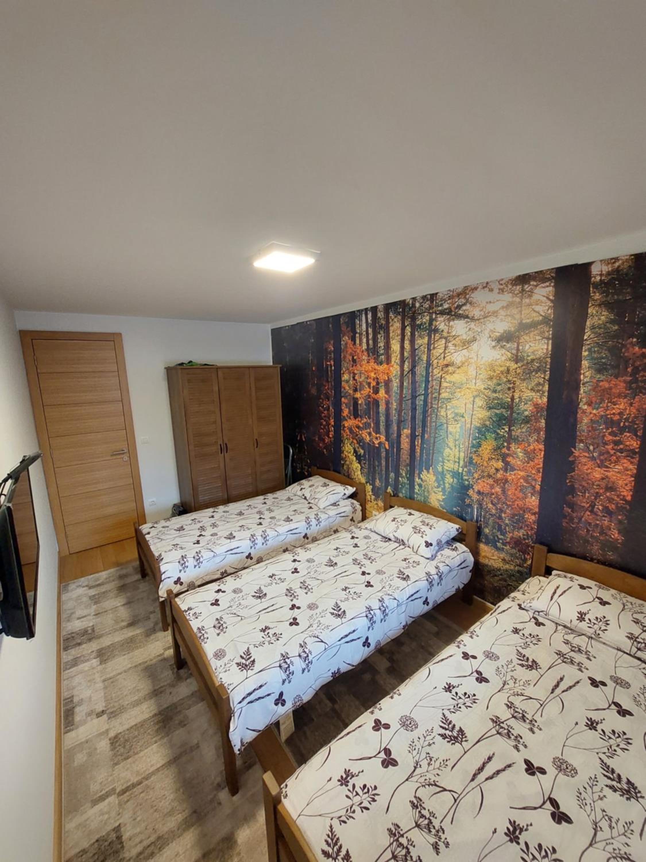 Luxury Apartment Zimska idila