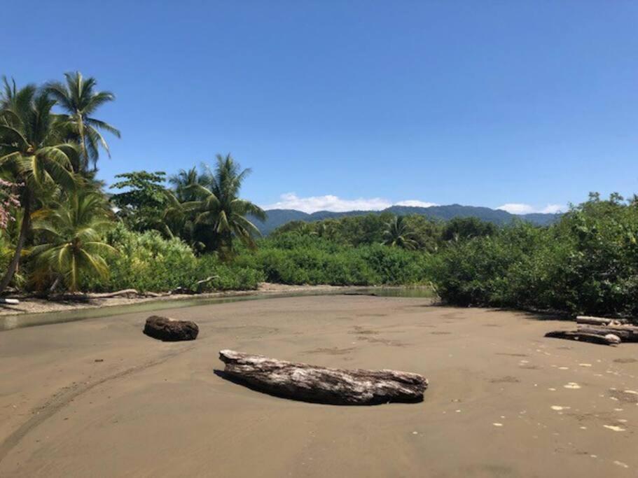 Casa Toucan mit privat Pool near NP Ballena