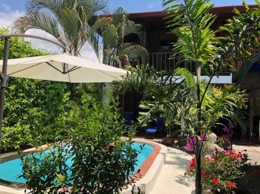 Casa Toucan mit privat Pool near NP Ballena