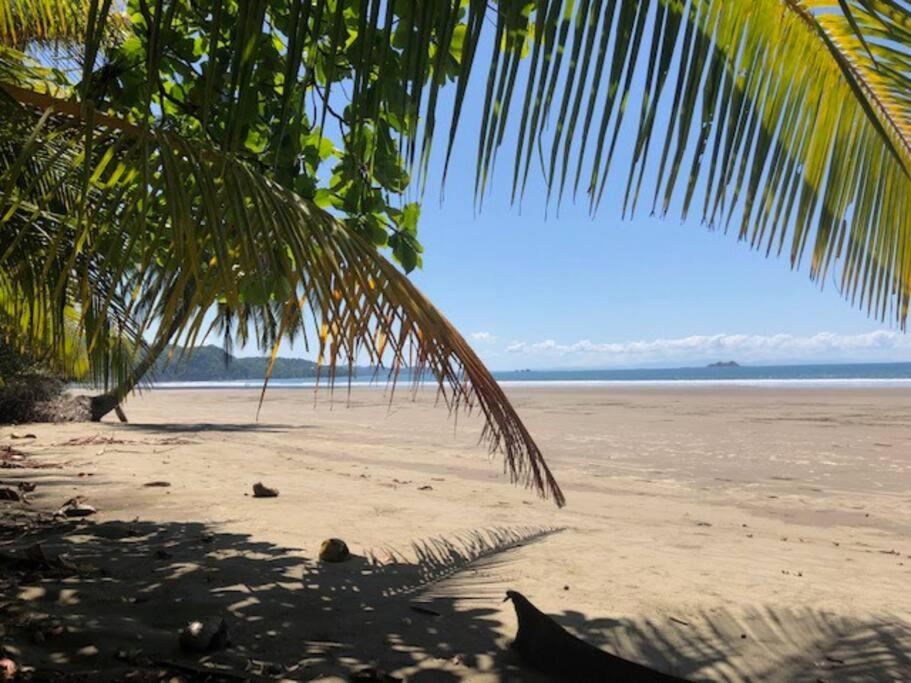 Casa Toucan mit privat Pool near NP Ballena