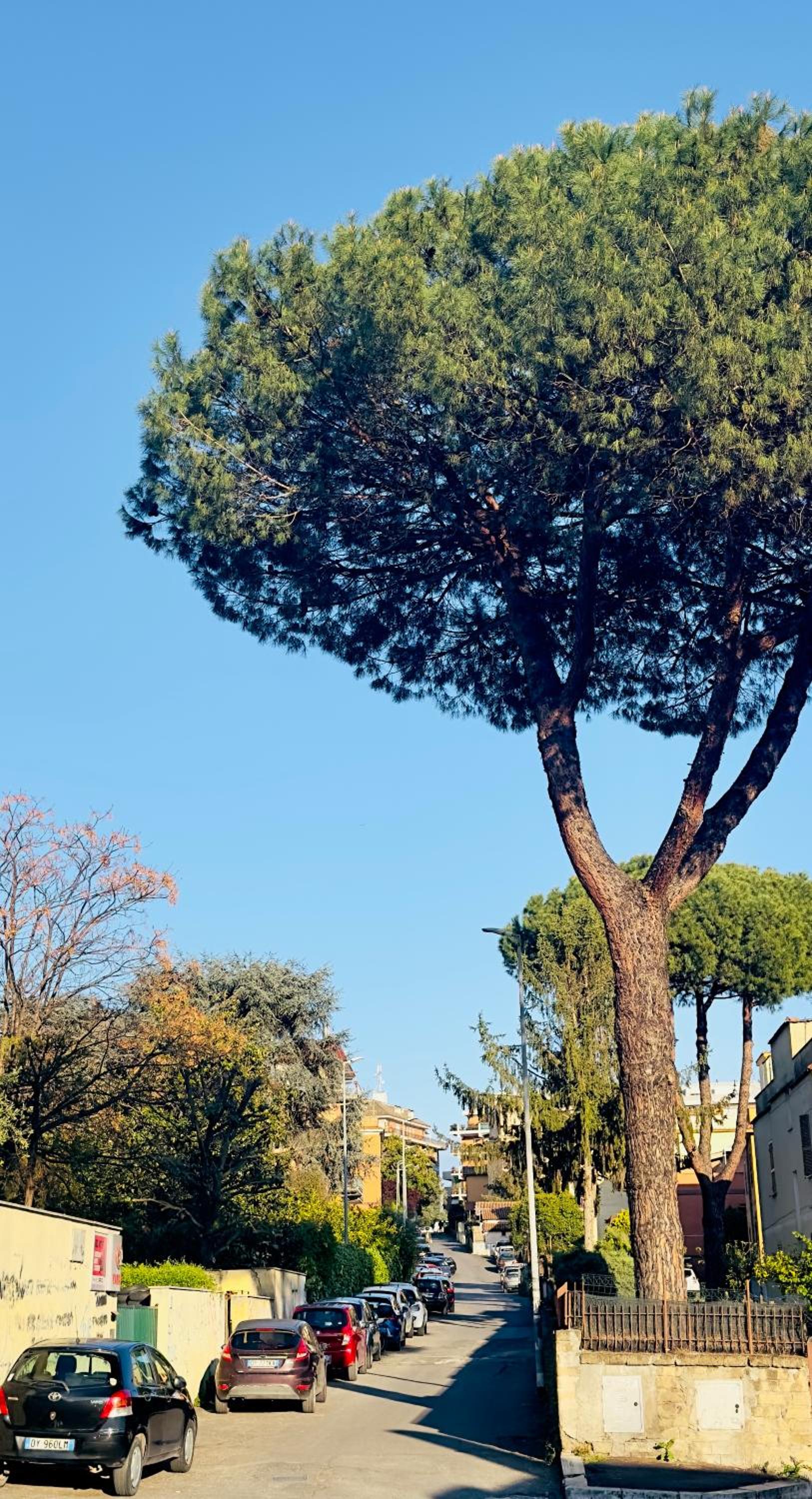 Gemelli-San Pietro-Trastevere-casa con posto auto