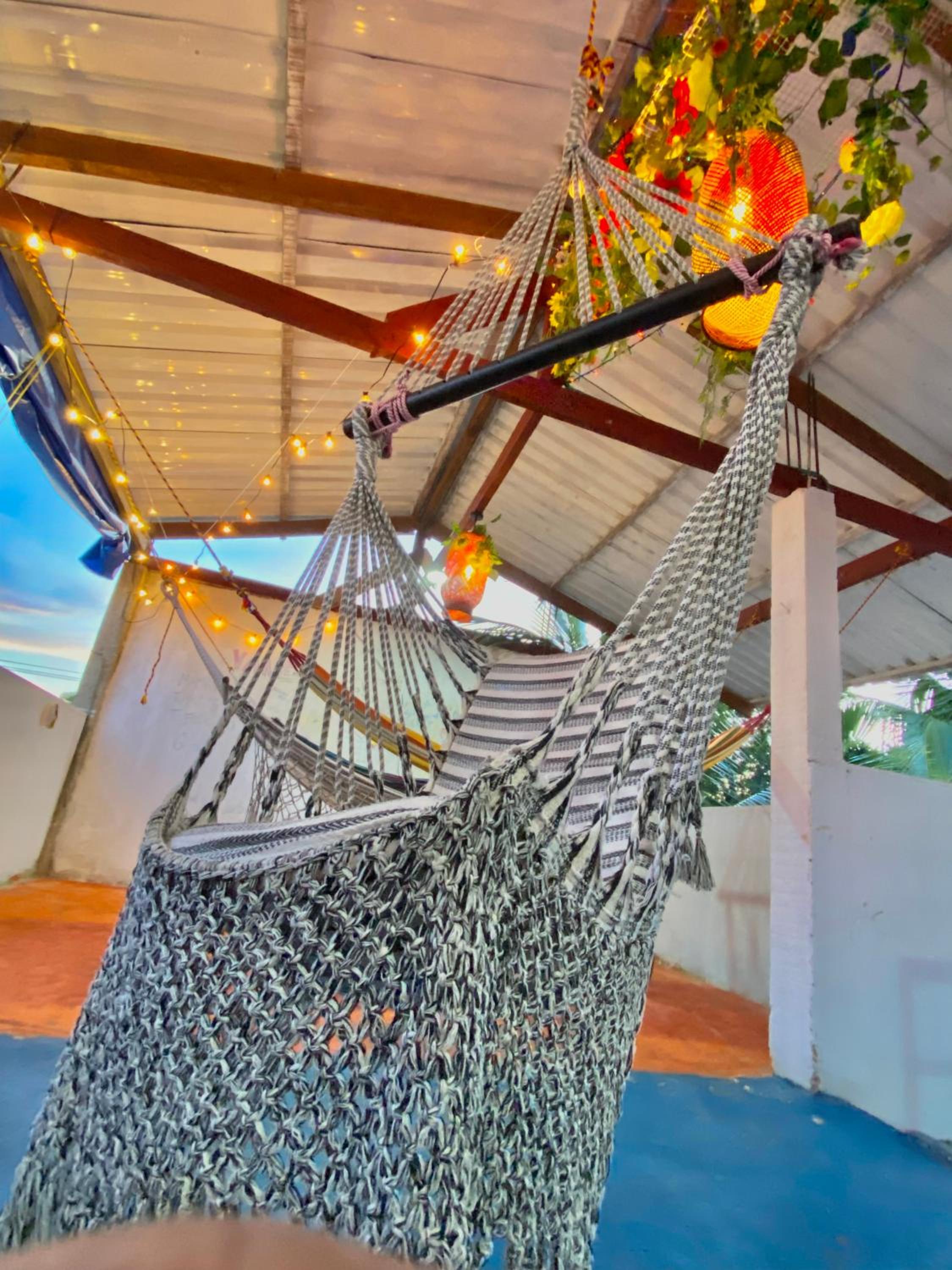 Acuarios Hostal