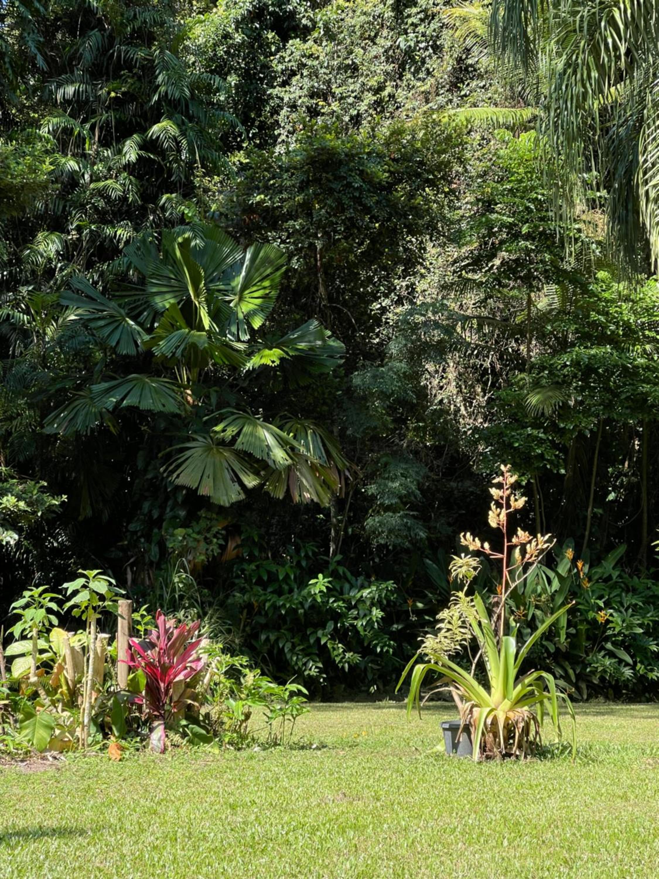 Botanica House Kuranda