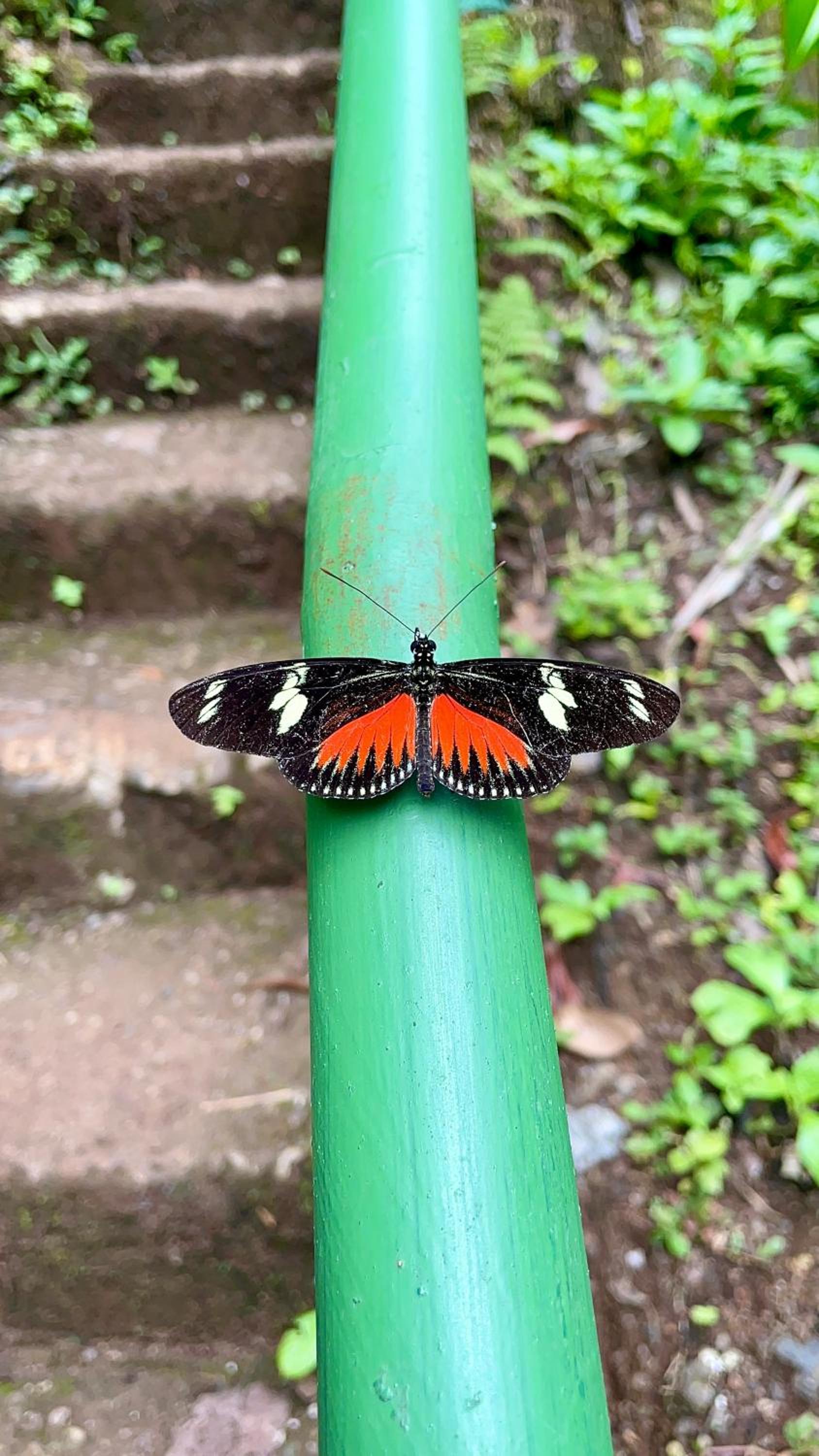 Casa Paraiso Parrita