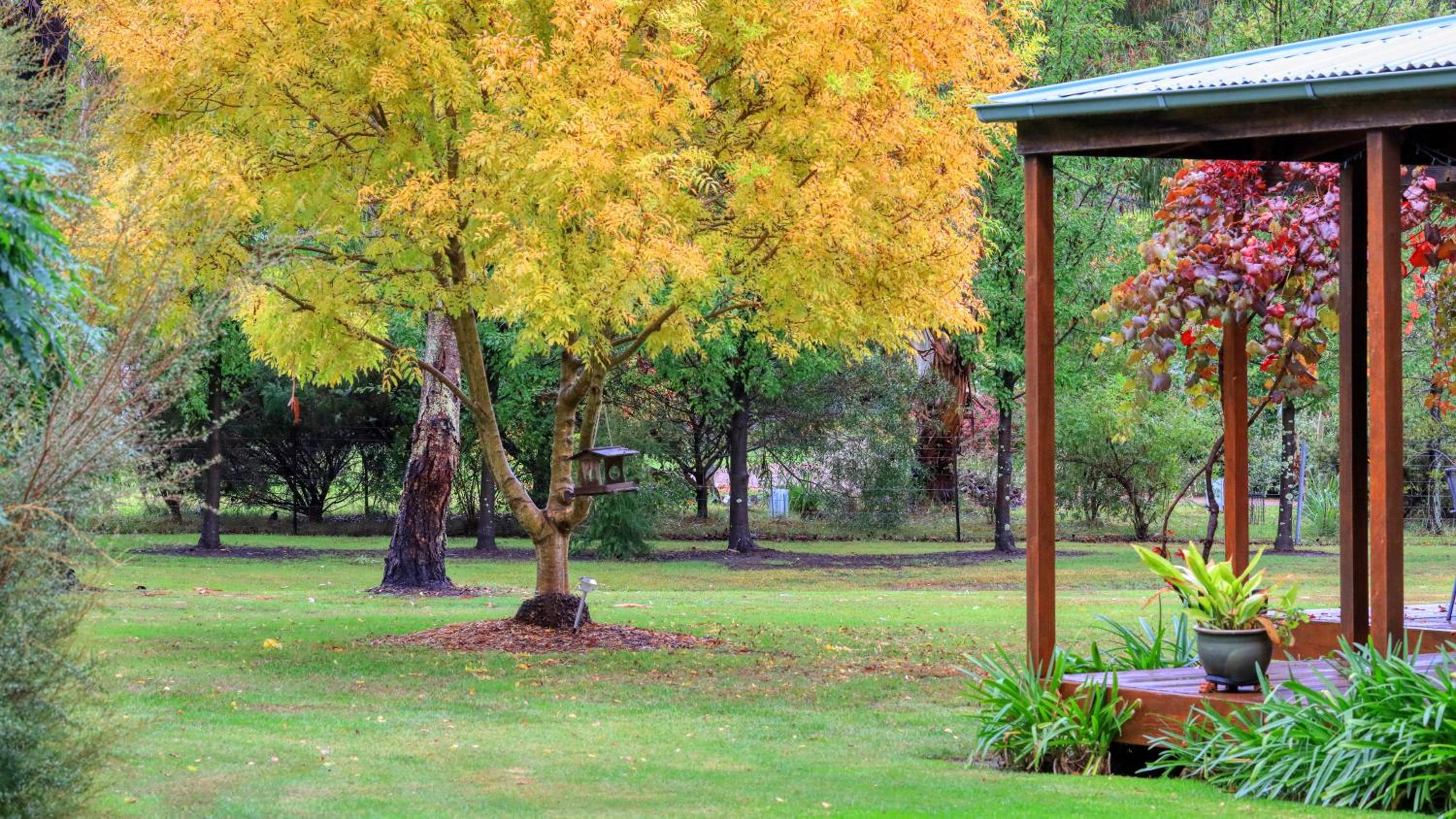 Beechworth Cedar Cottages