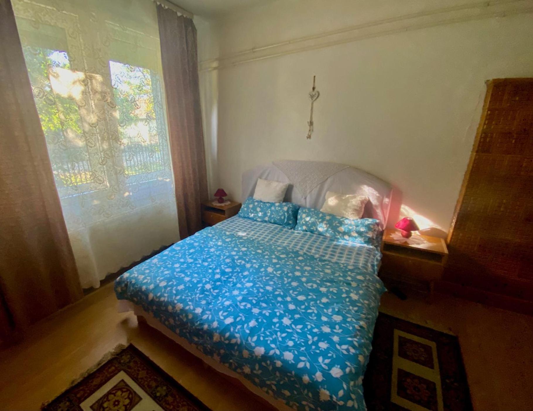 Grany's Retro Guesthouse near Budapest AirPort view 3