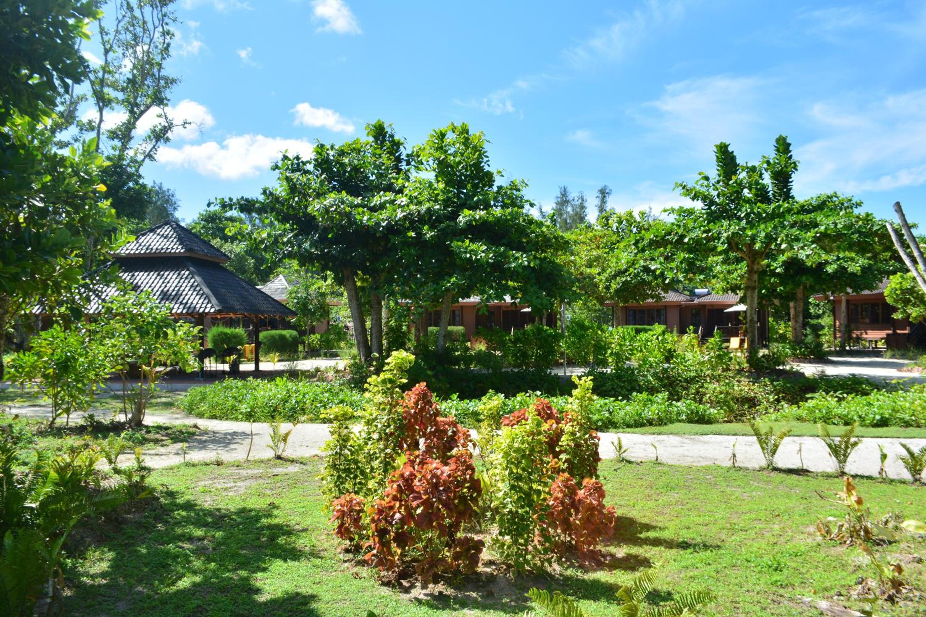 Heliconia Grove